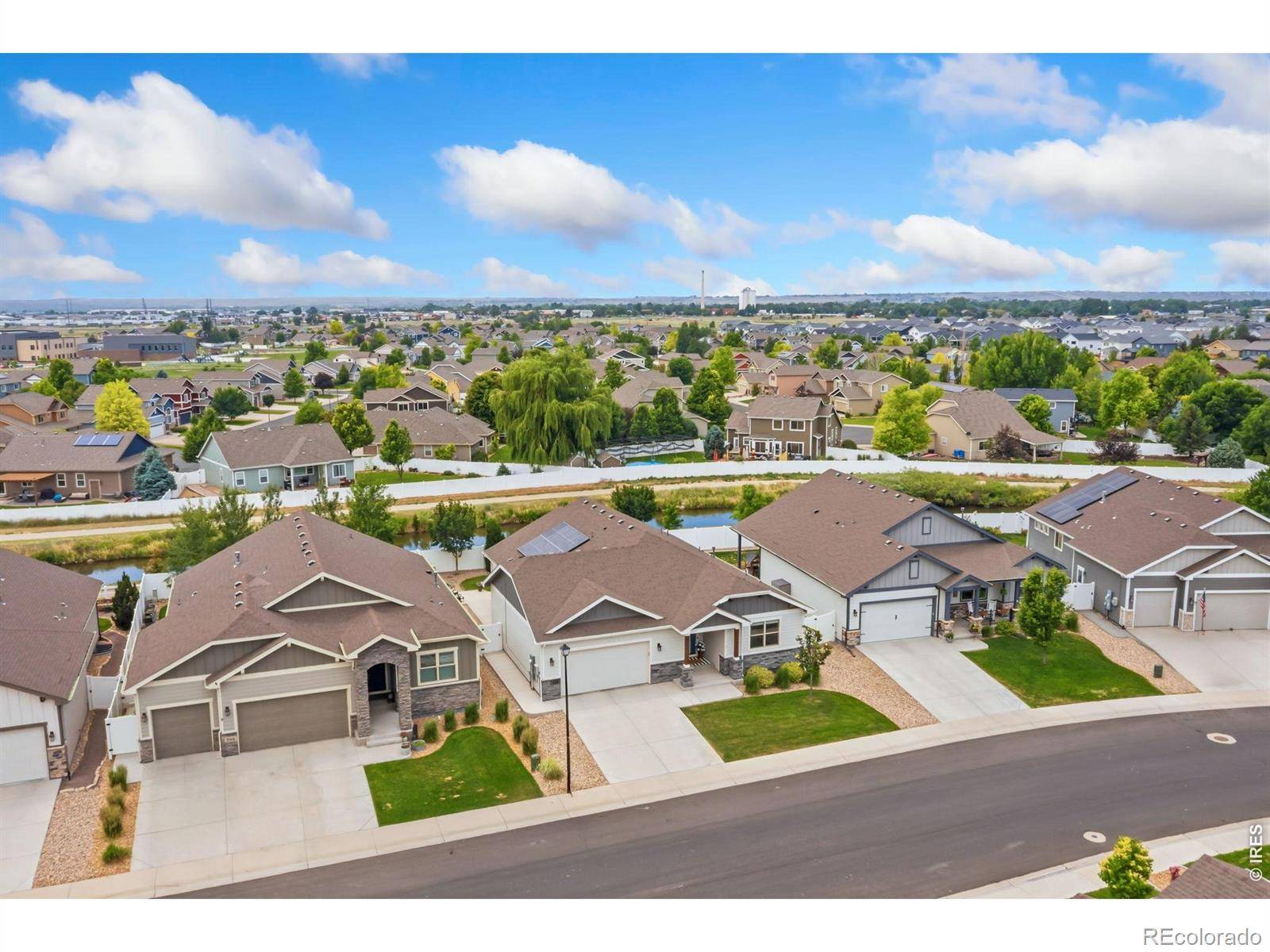 488 Vermilion Peak DR, Windsor, CO 80550