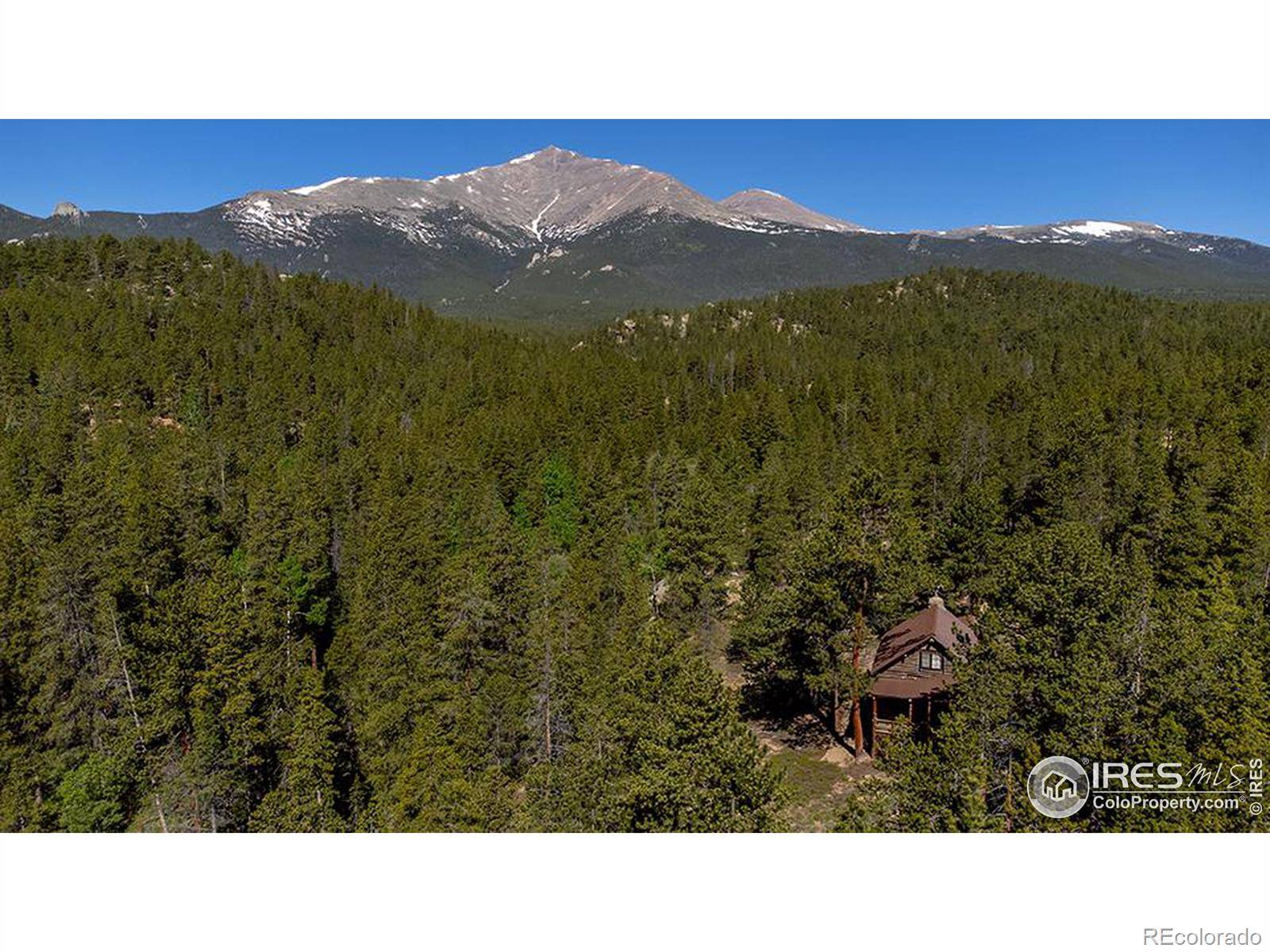 1217 Big Owl RD, Allenspark, CO 80510