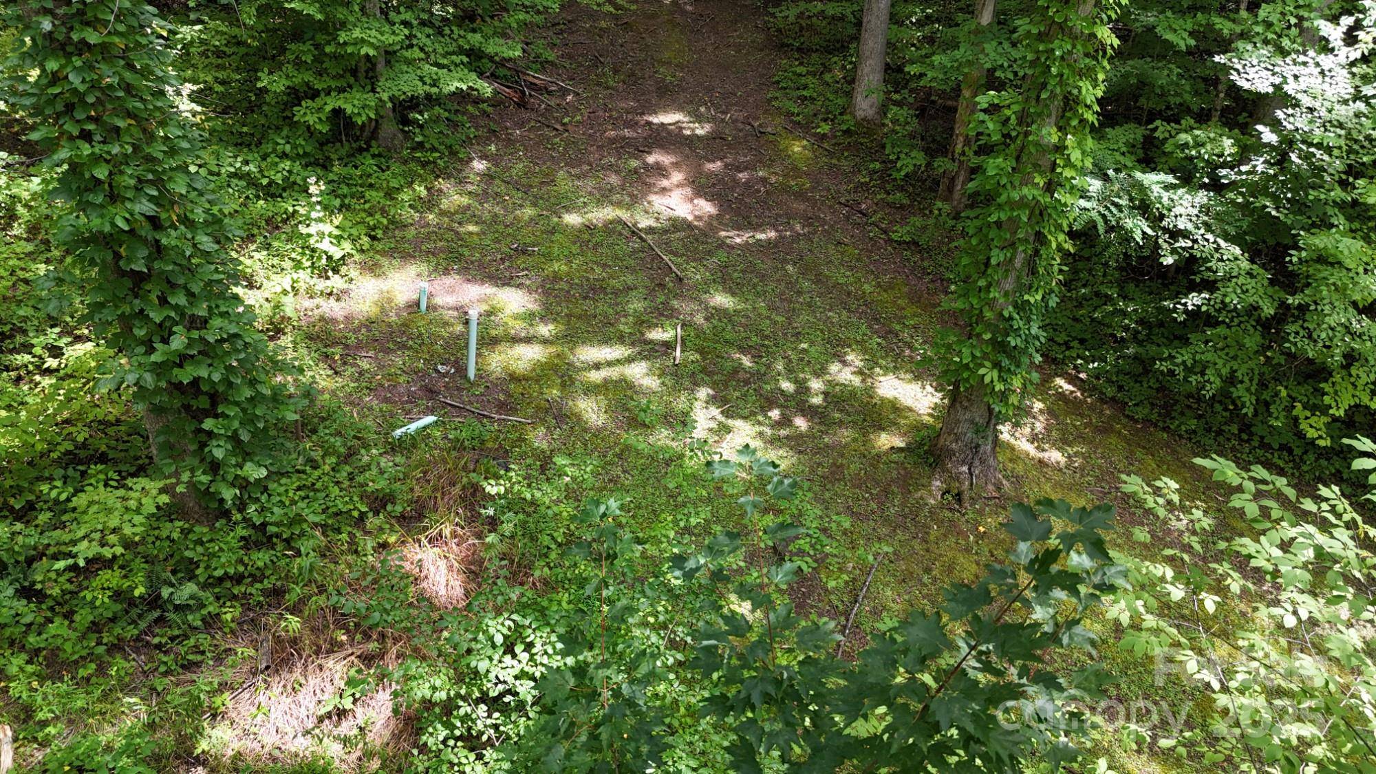 Lot 12 Roselyn Park DR, Maggie Valley, NC 28751