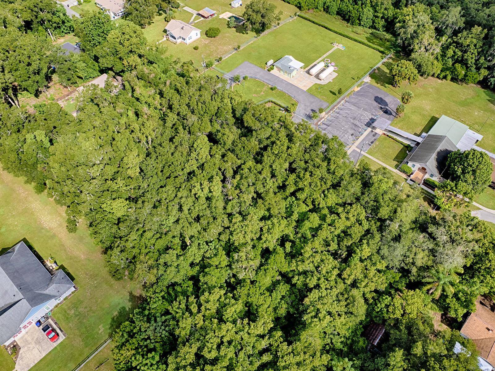 TBD KING AVE, Zellwood, FL 32798