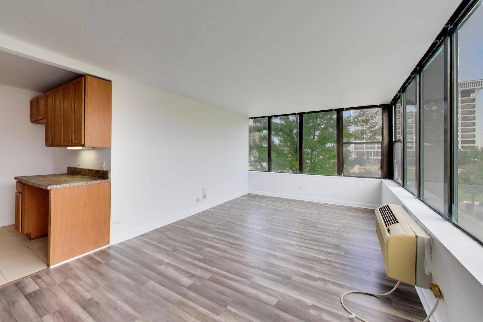 345 E Eastgate PL #302, Chicago, IL 60616