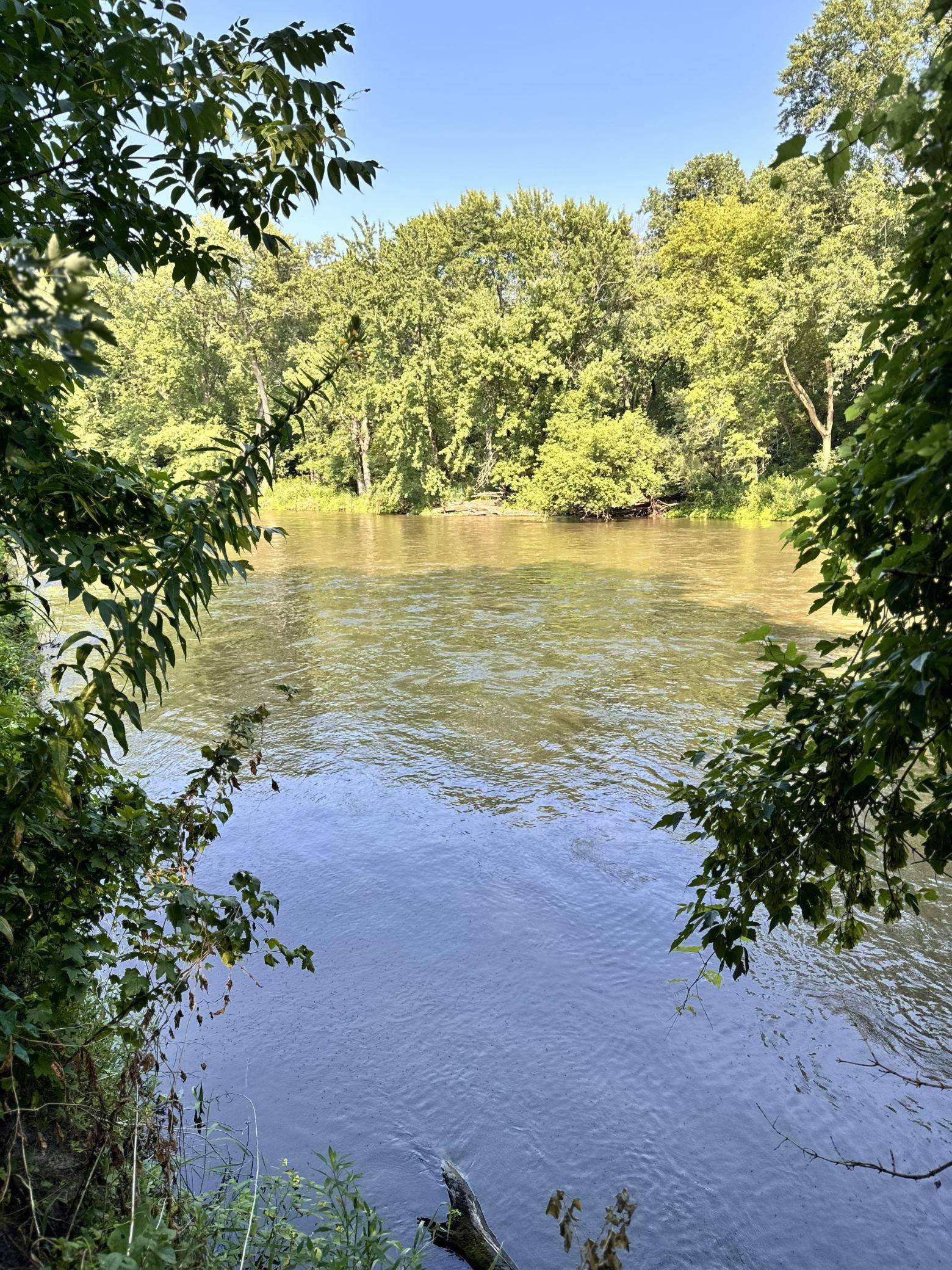 1900 Dundas BLVD, Northfield, MN 55019