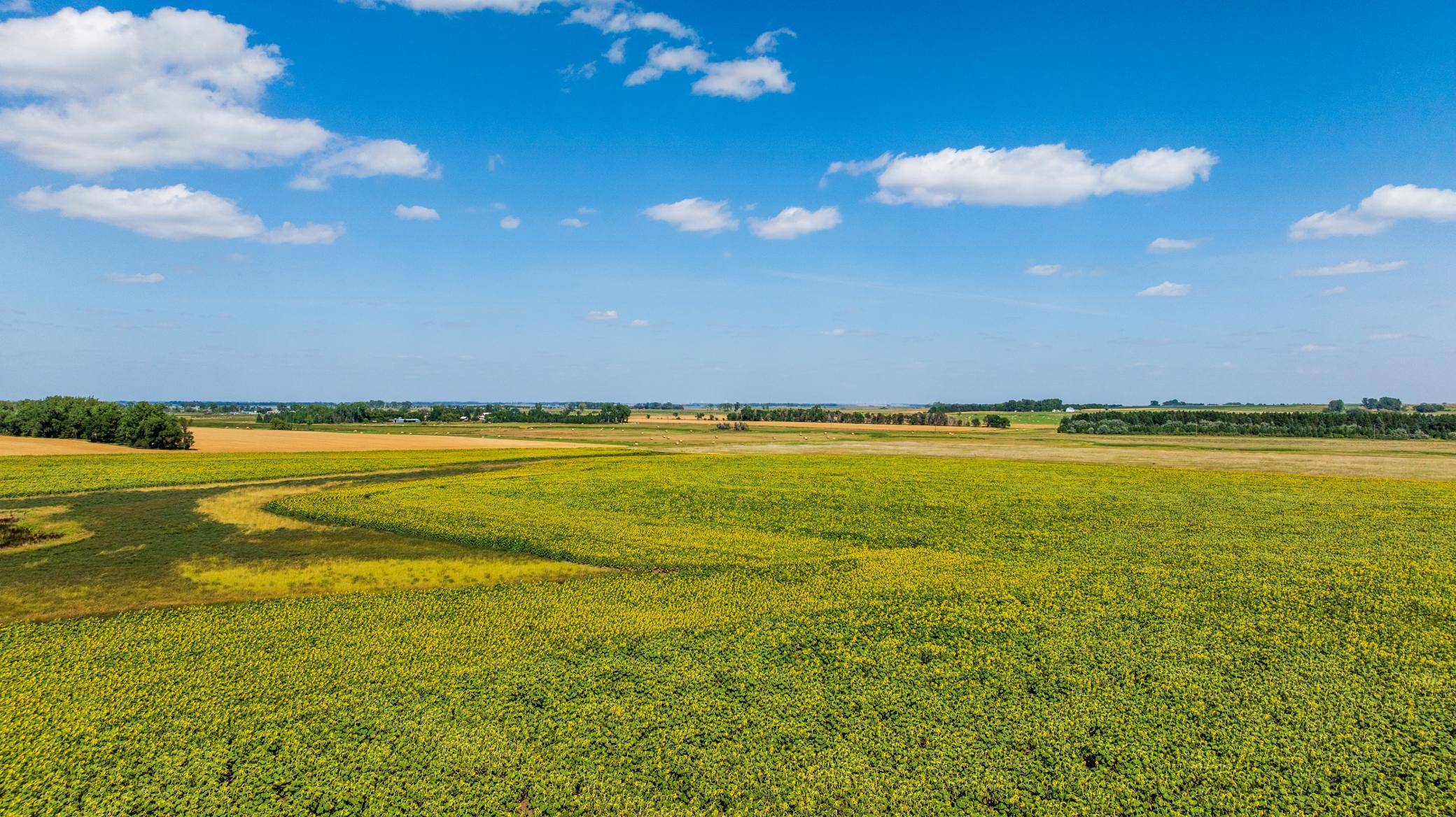 TBD 15 Ave NE Lot 1, Berwick, ND 58788