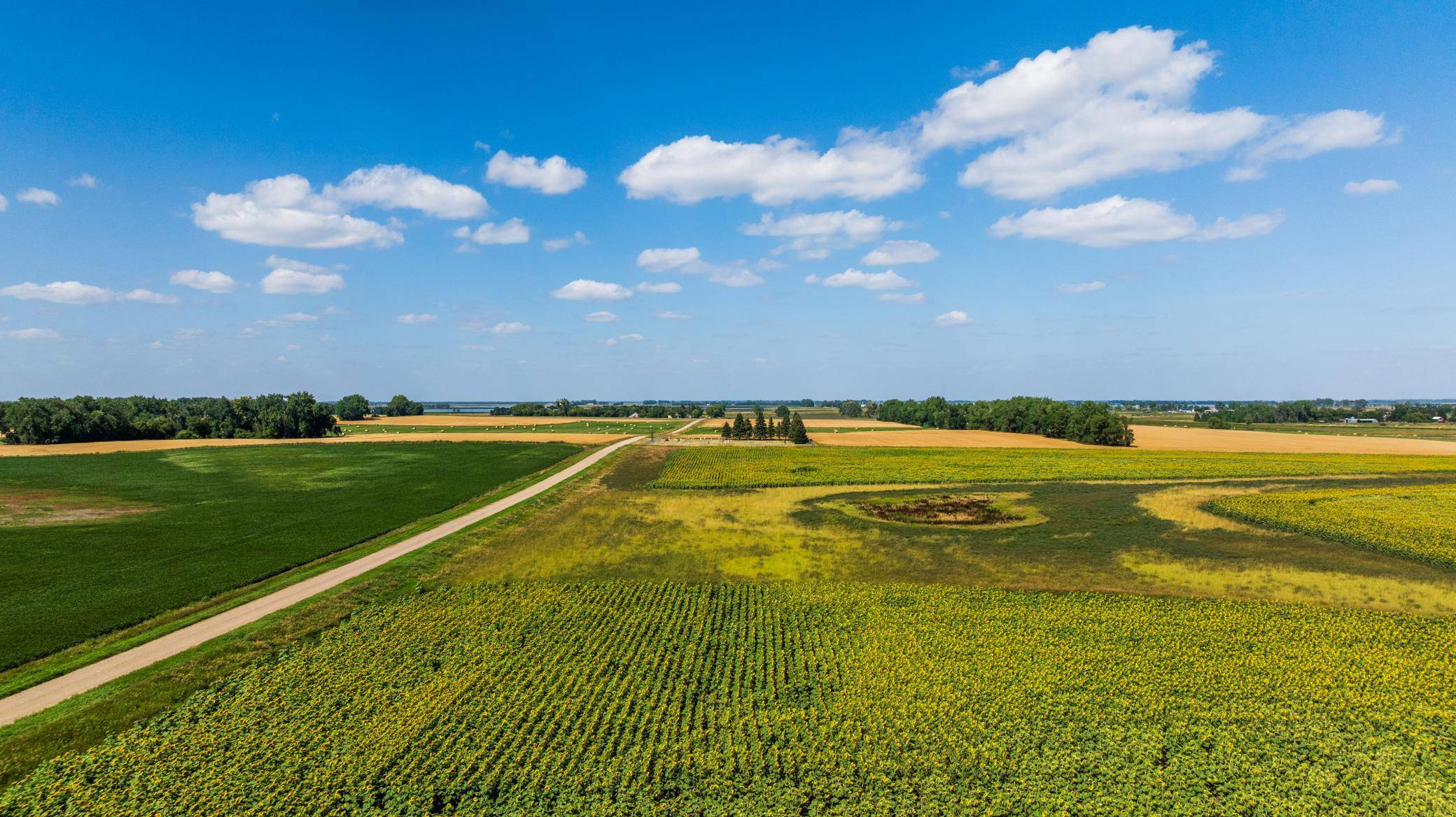 TBD 15 Ave NE Lot 1, Berwick, ND 58788