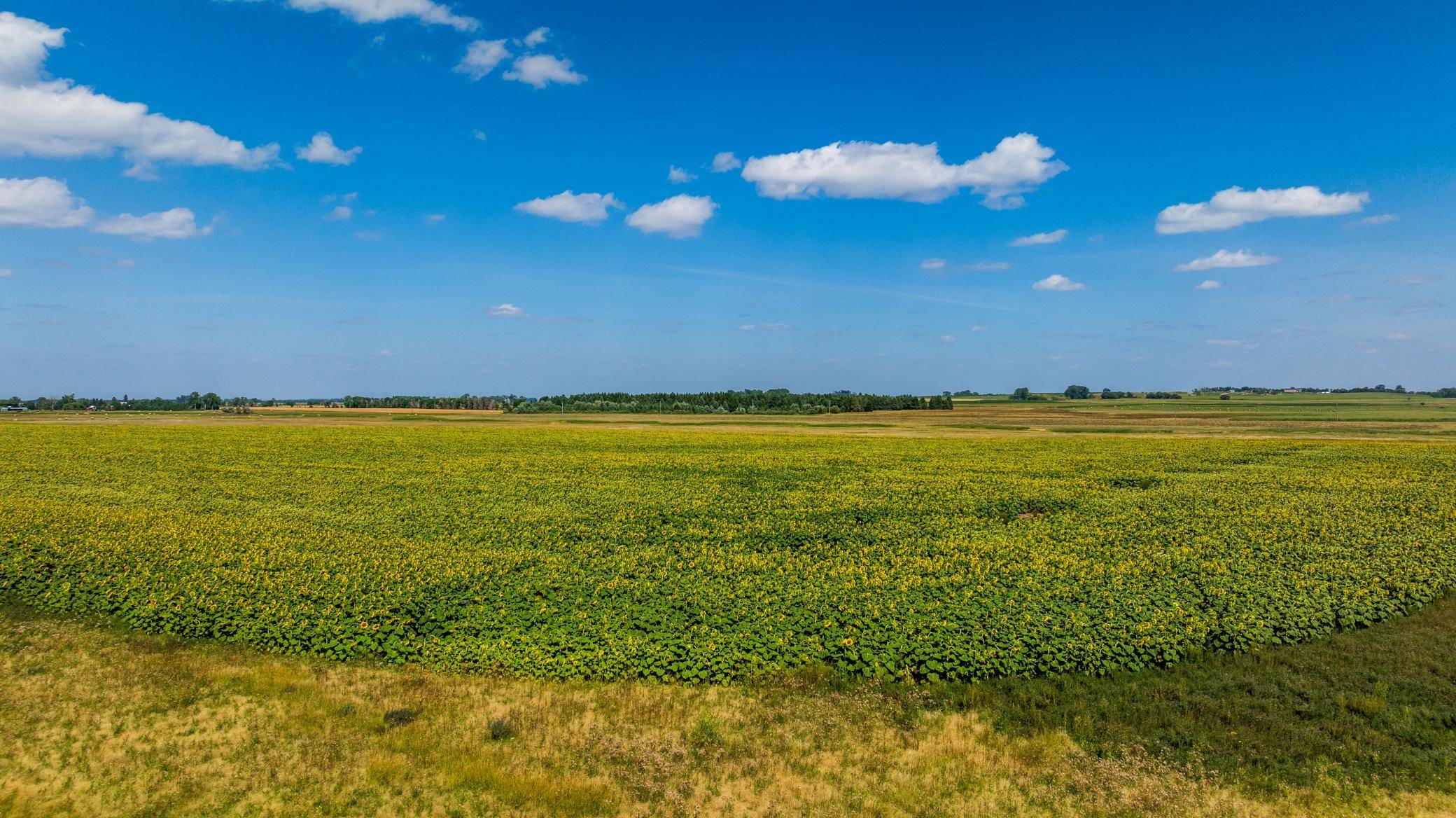 TBD 15 Ave NE Lot 1, Berwick, ND 58788