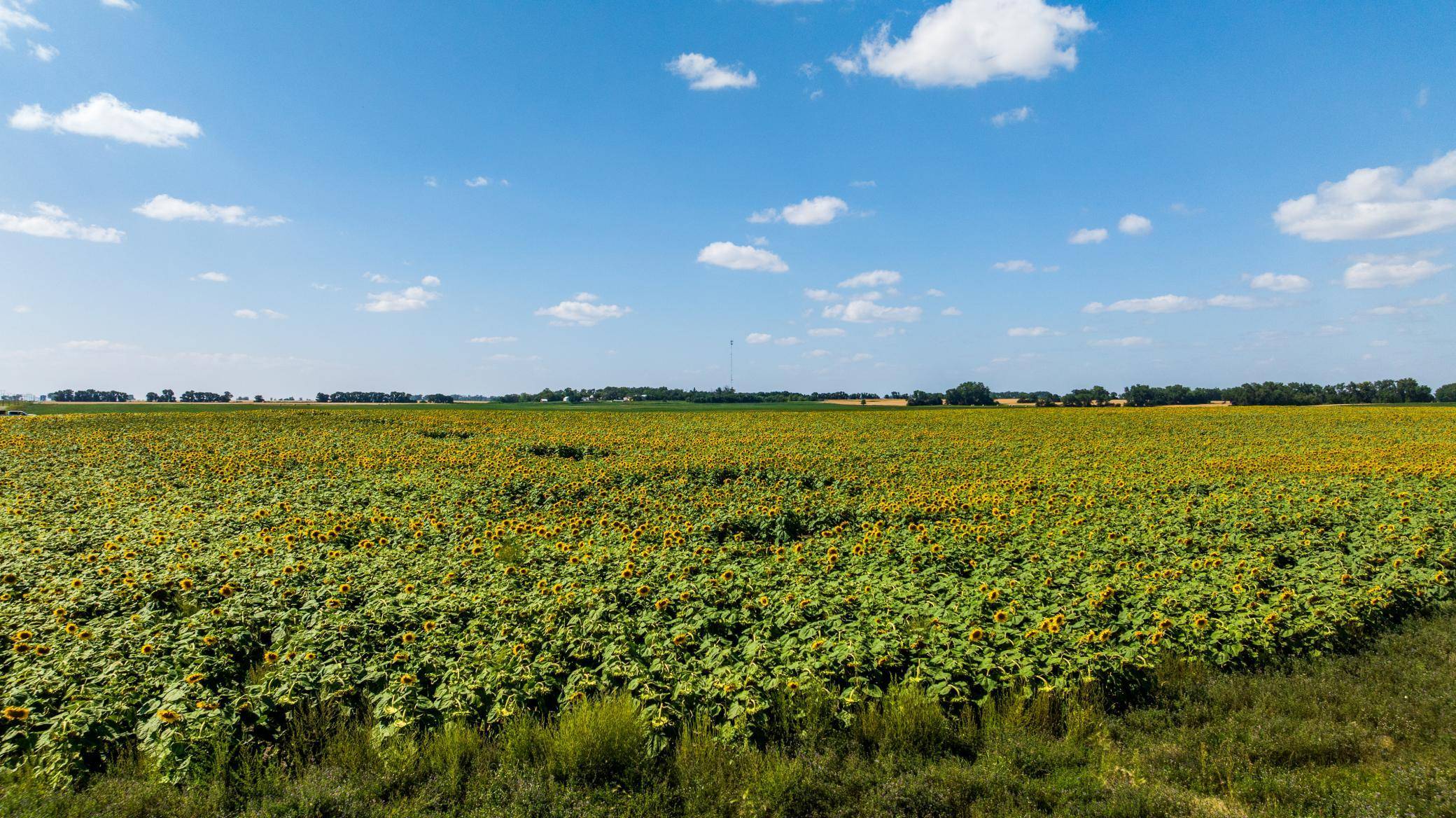 TBD 15 Ave NE Lot 1, Berwick, ND 58788