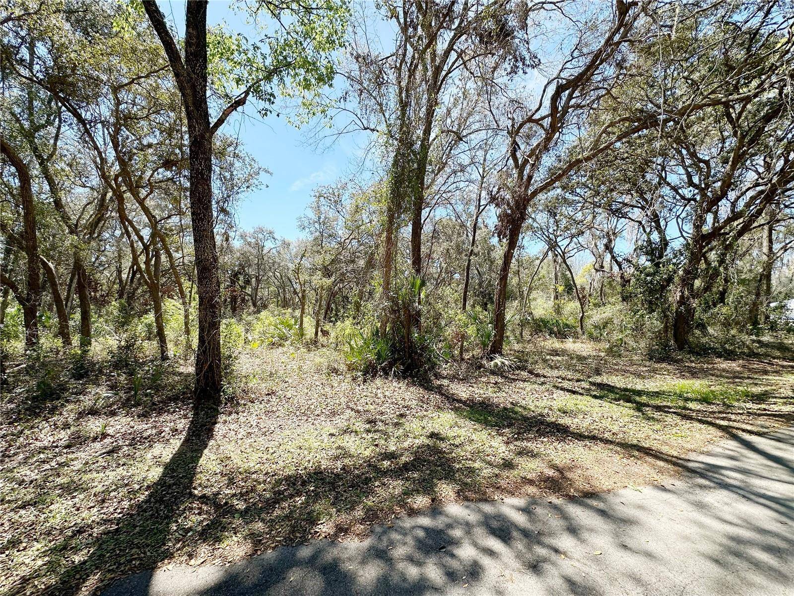 TBD NW 110TH CIRCLE, LOT 3, Chiefland, FL 32626