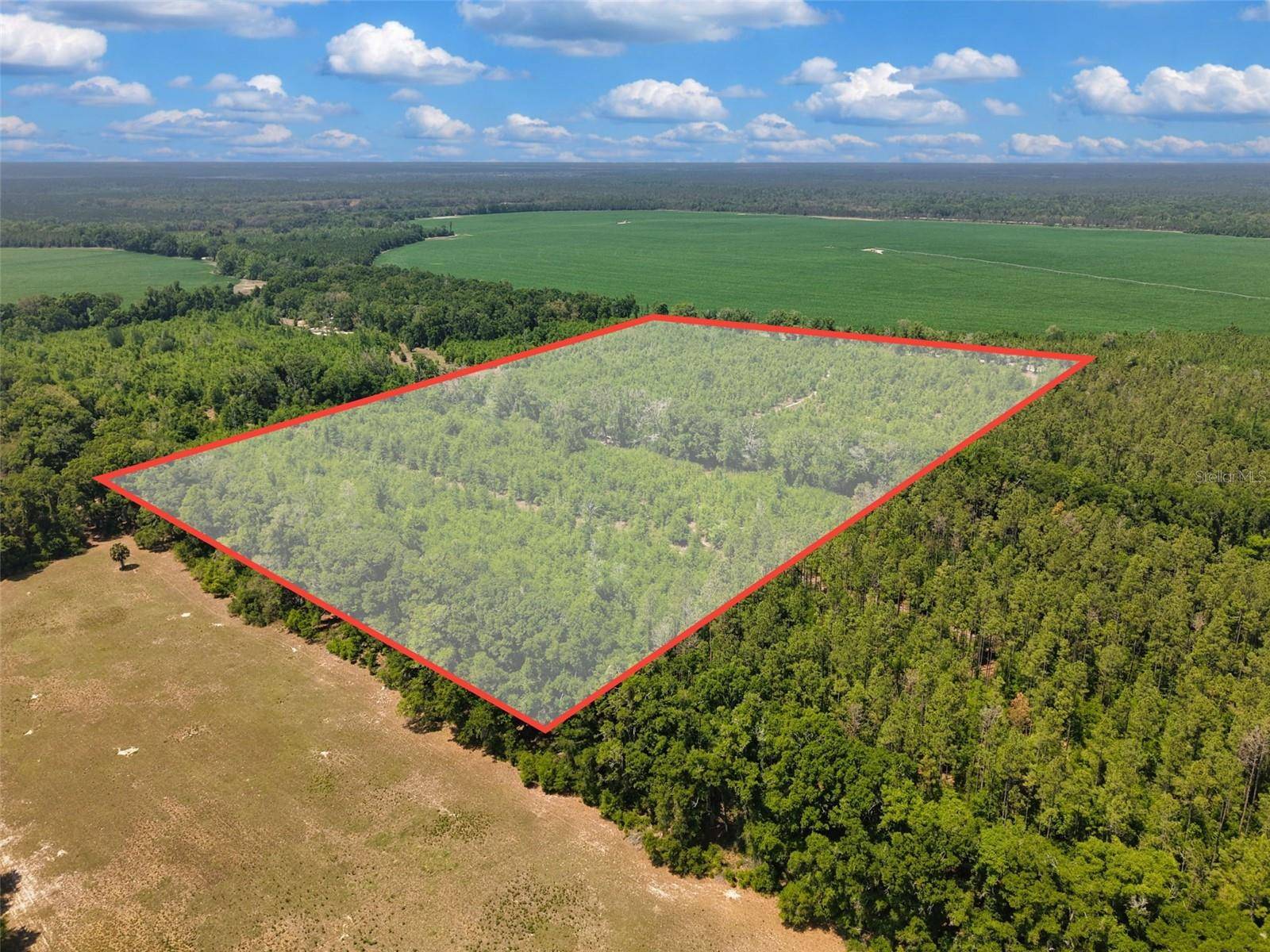 TBD 000 NE 998TH AVE, Branford, FL 32008