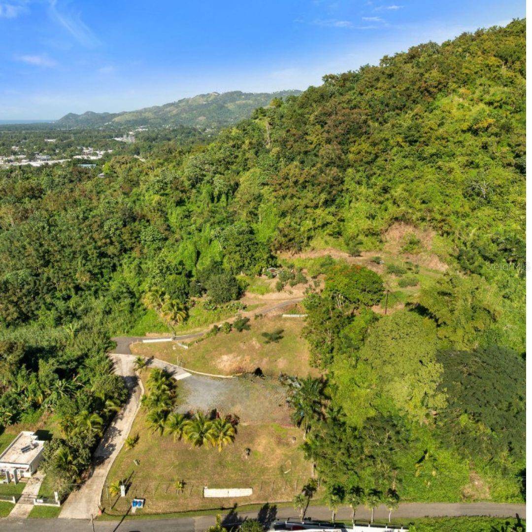 SOLAR 2. BARRIO DAGUEY, URB. SAGRADO CORAZON, Anasco, PR 00610