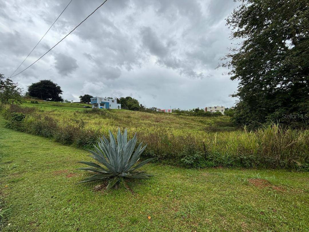 Address not disclosed, Caguas, PR 00727