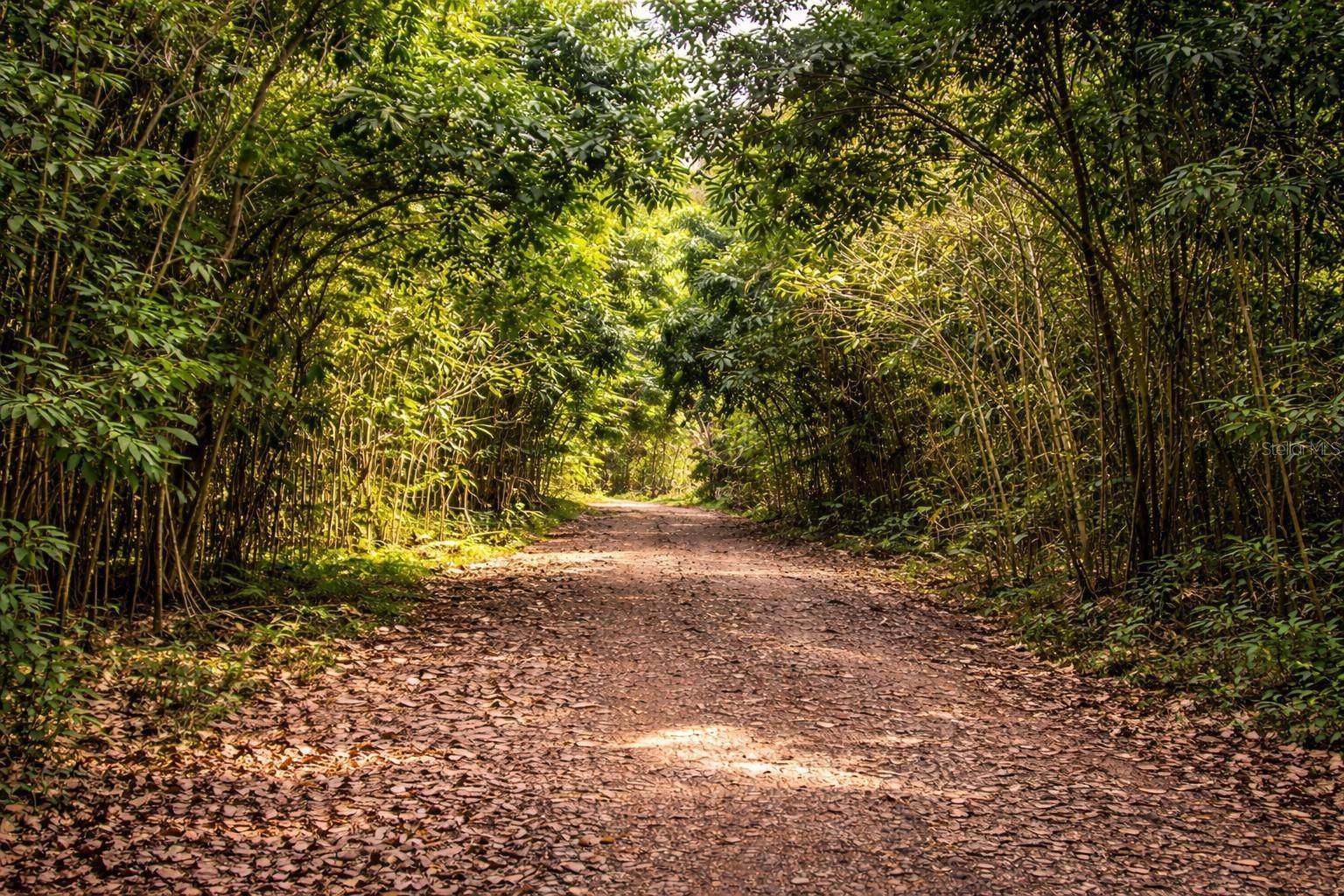Solar 36 BO FRONTON, Ciales, PR 00638
