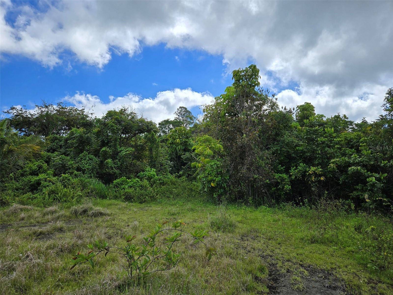 PR 7718 KM 4.1 PASTO WARD, Aibonito, PR 00705