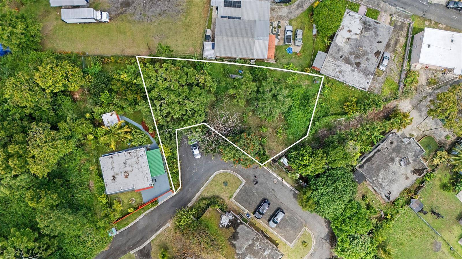 7731 BARRIO RINCON, Cidra, PR 00739