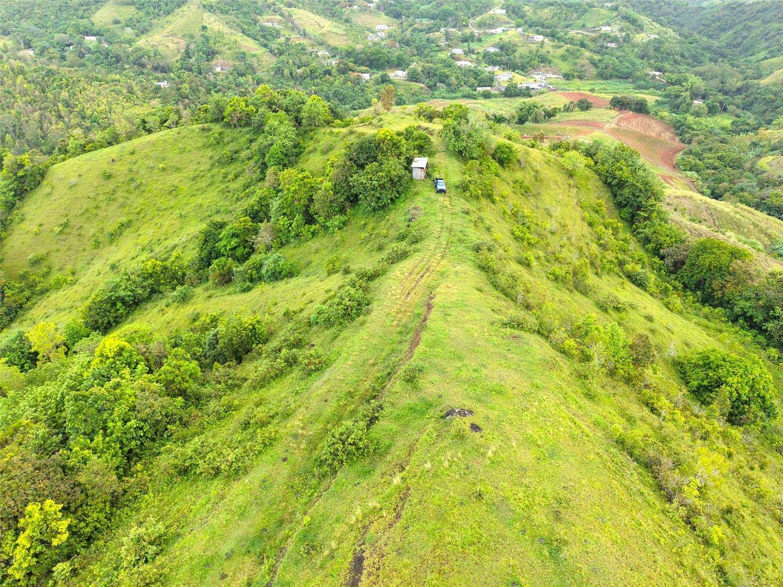 PR 770 KM 2.9 PALO HINCADO WARD, Barranquitas, PR 00794