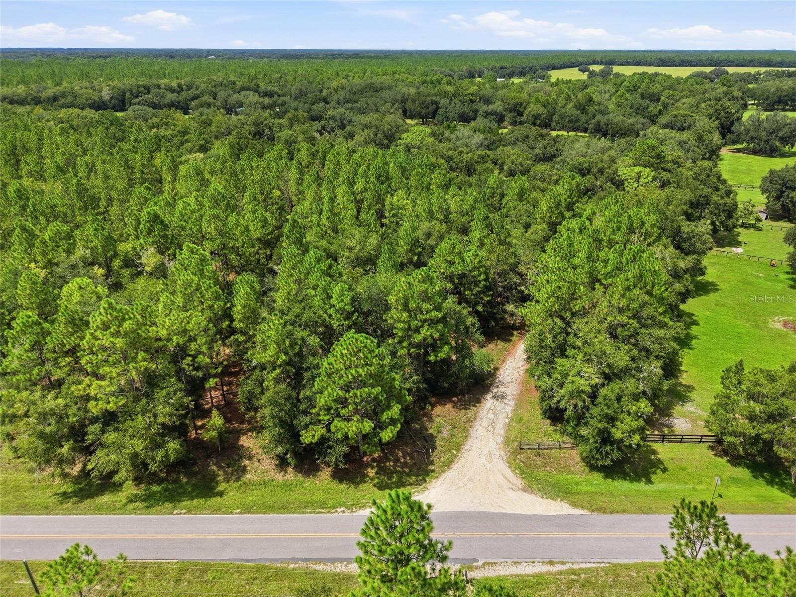 SE 207 CT, Morriston, FL 32668