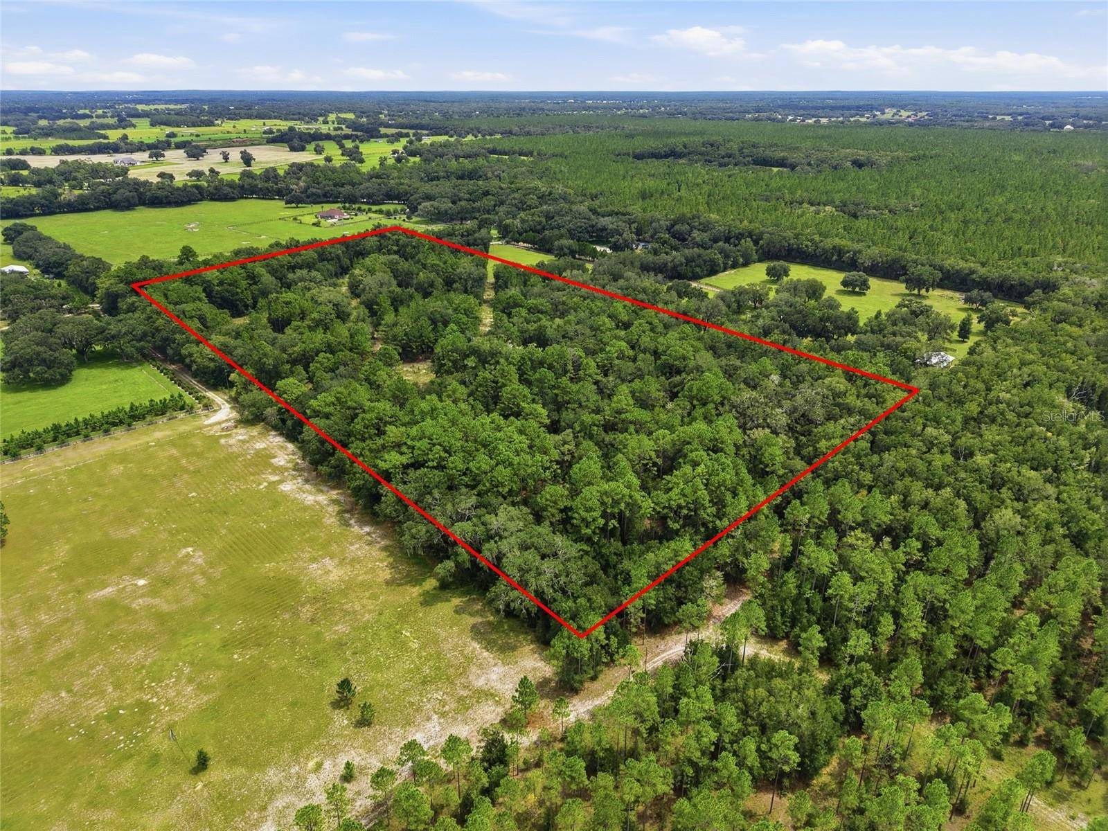 SE 207 CT, Morriston, FL 32668