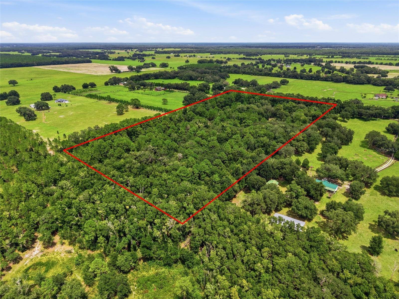 SE 207 CT, Morriston, FL 32668