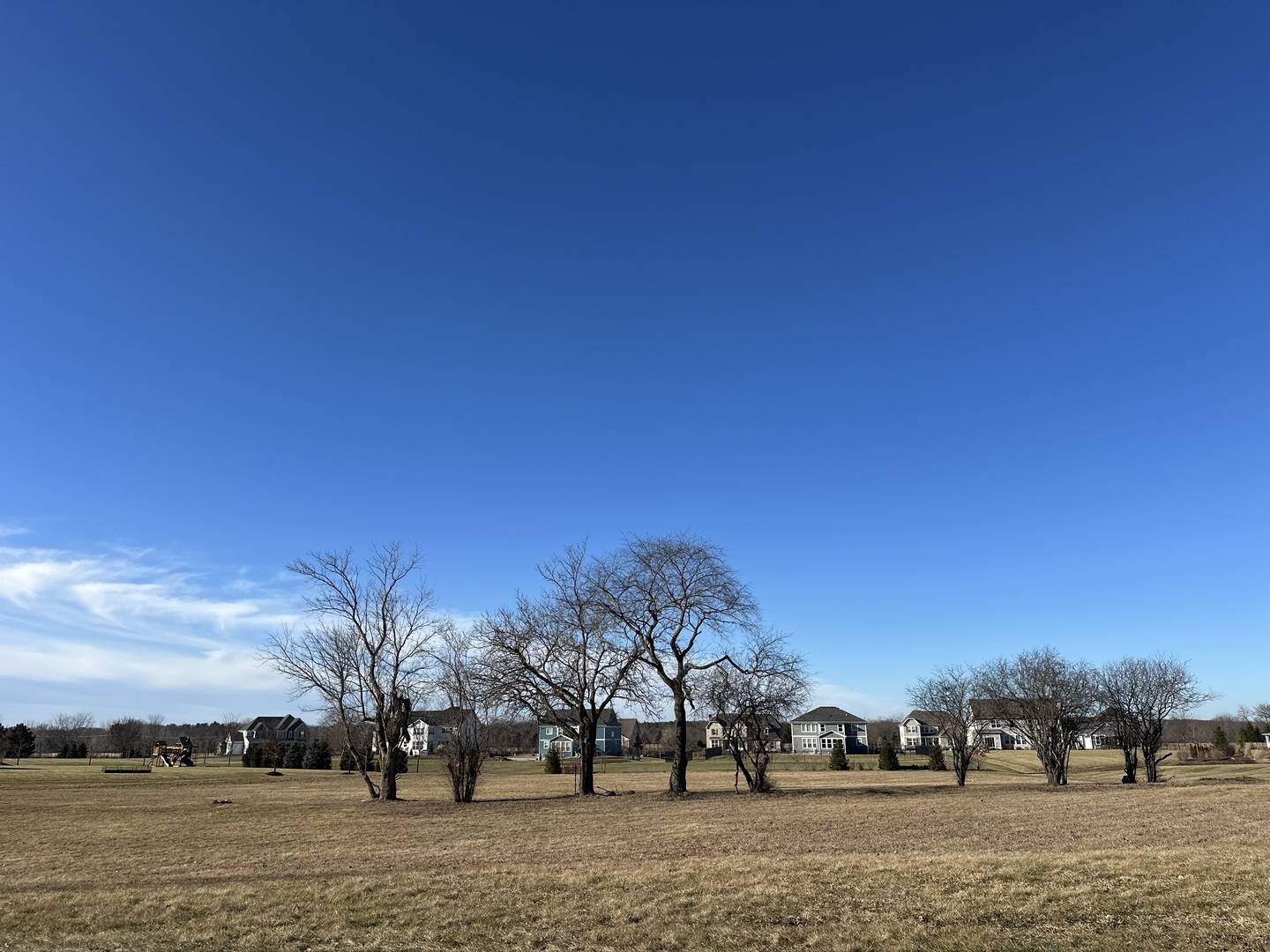 24659 N Blue Aster LN, Lake Barrington, IL 60010