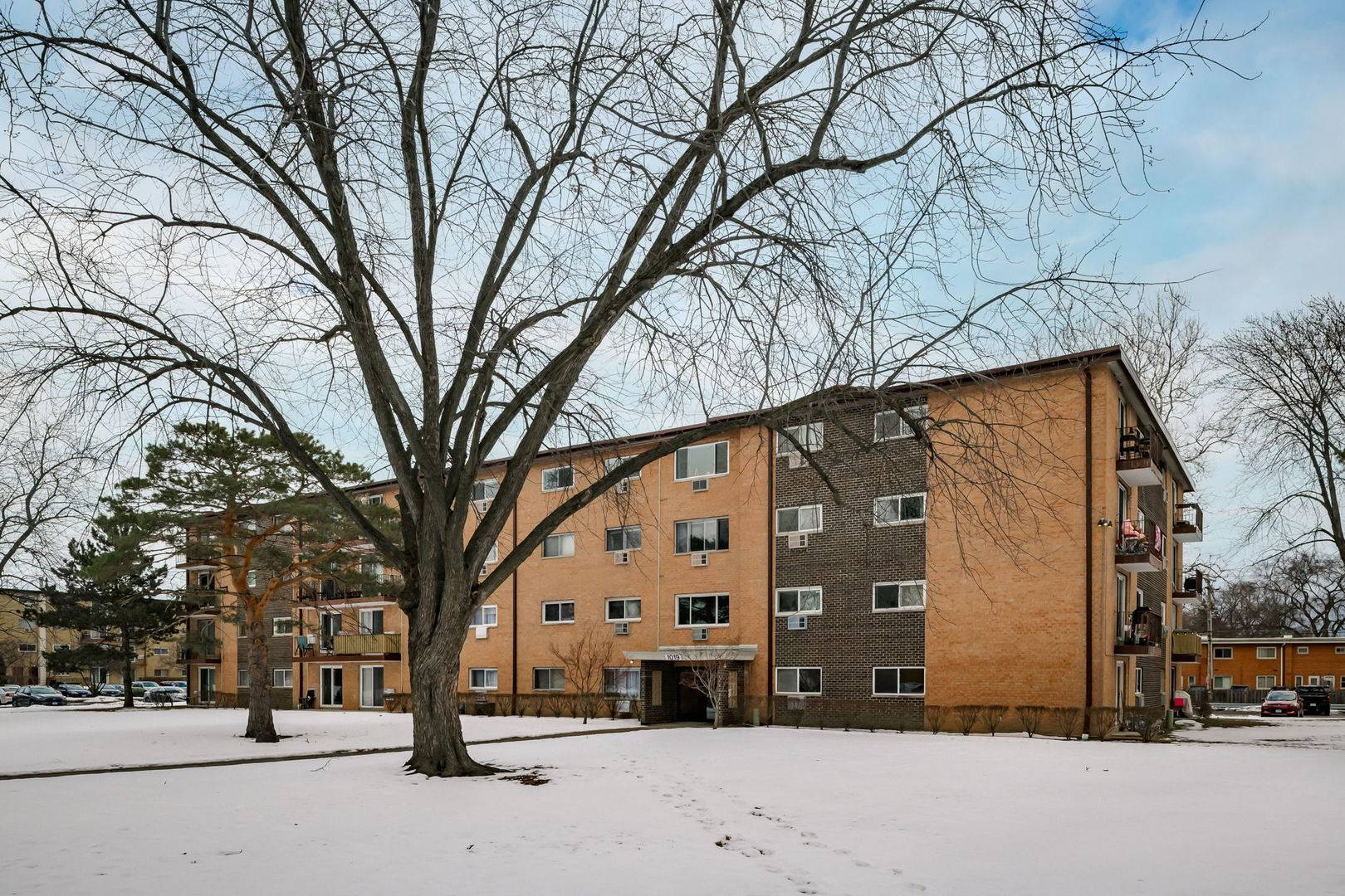 1019 N Boxwood DR #107, Mount Prospect, IL 60056