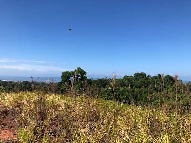 000000 Elevate Your Dreams – 3.70 Acres of Paradise, Out Of State, 60501