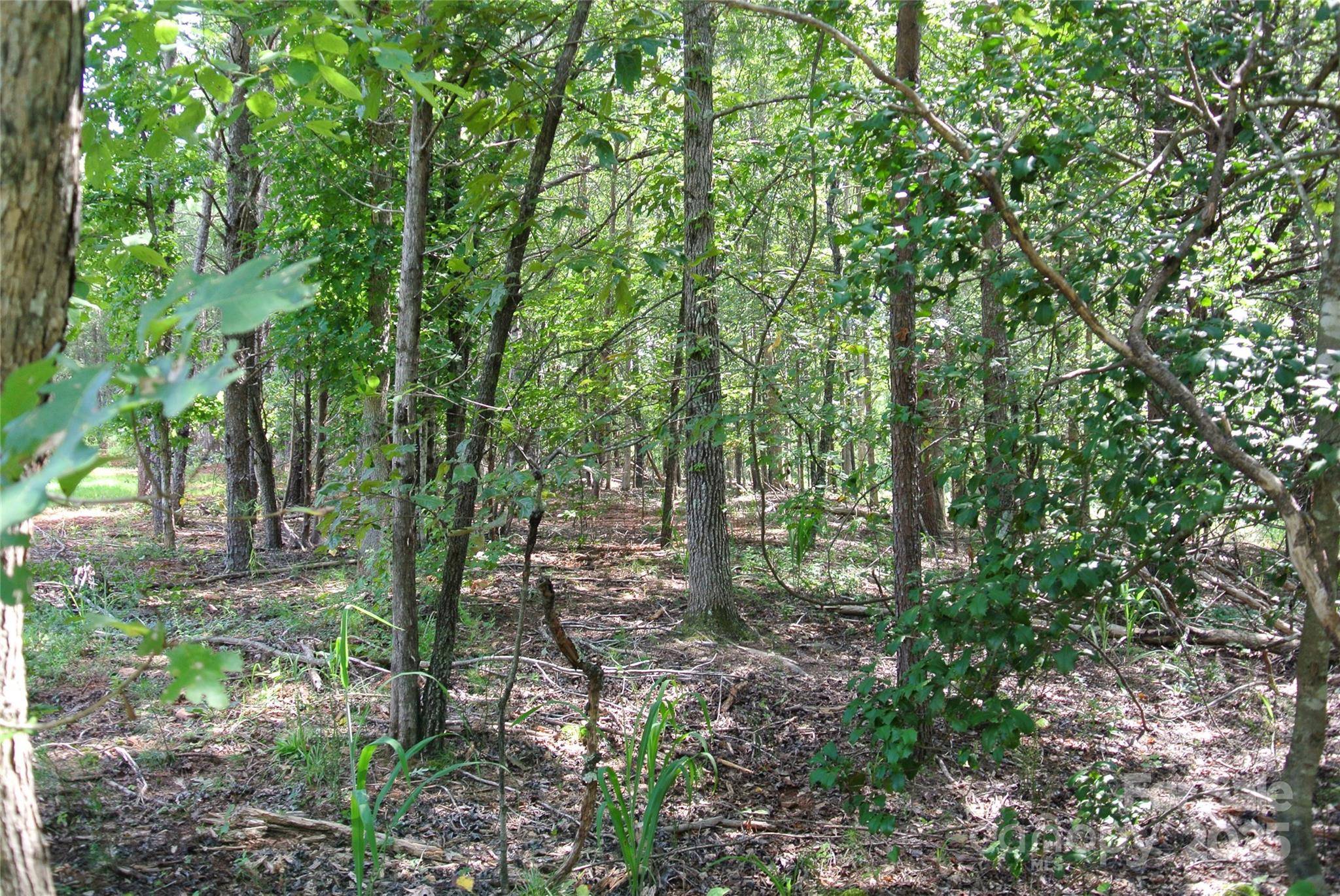 Lot 32 Whispering Pines CIR, Forest City, NC 28043