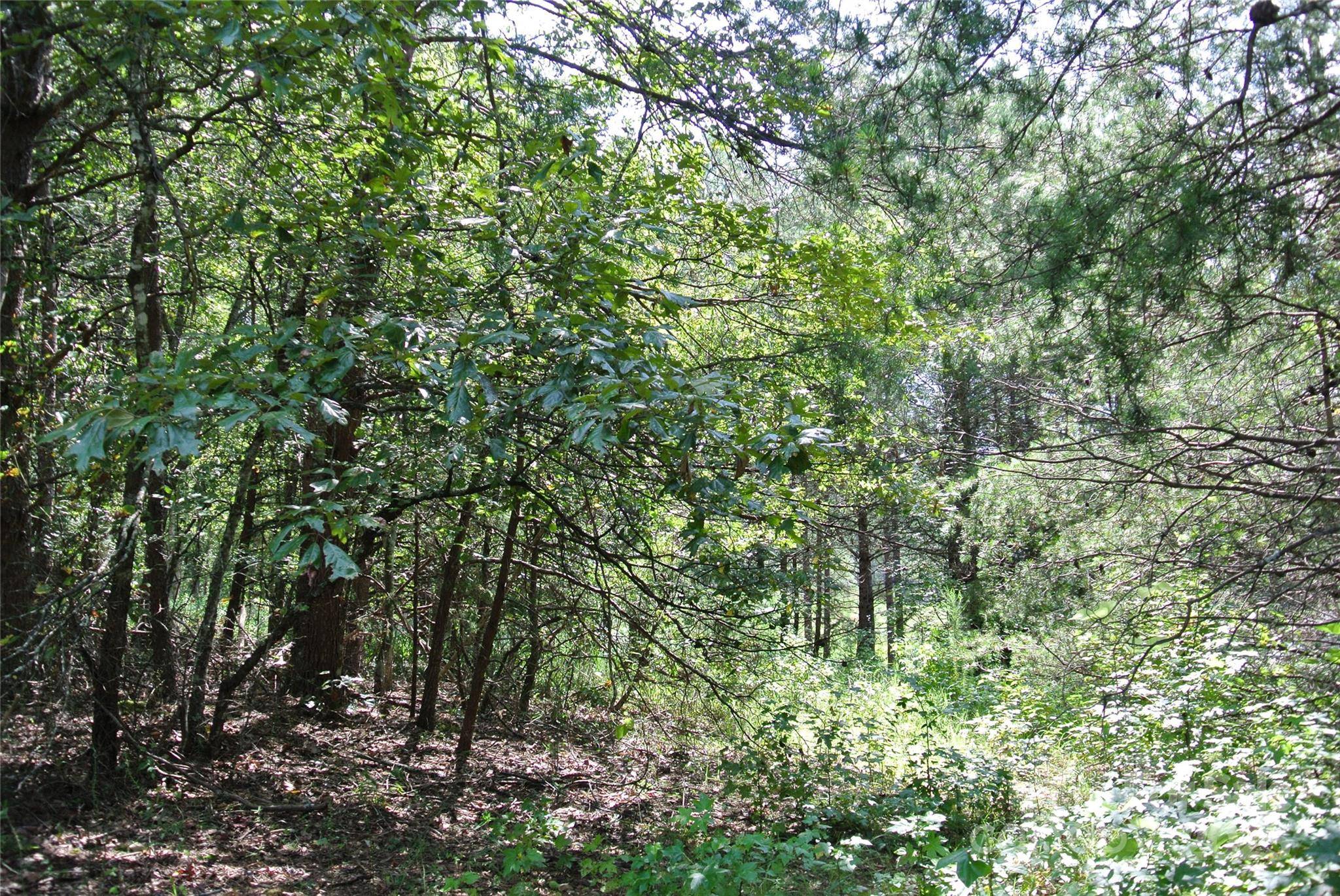 Lot 32 Whispering Pines CIR, Forest City, NC 28043