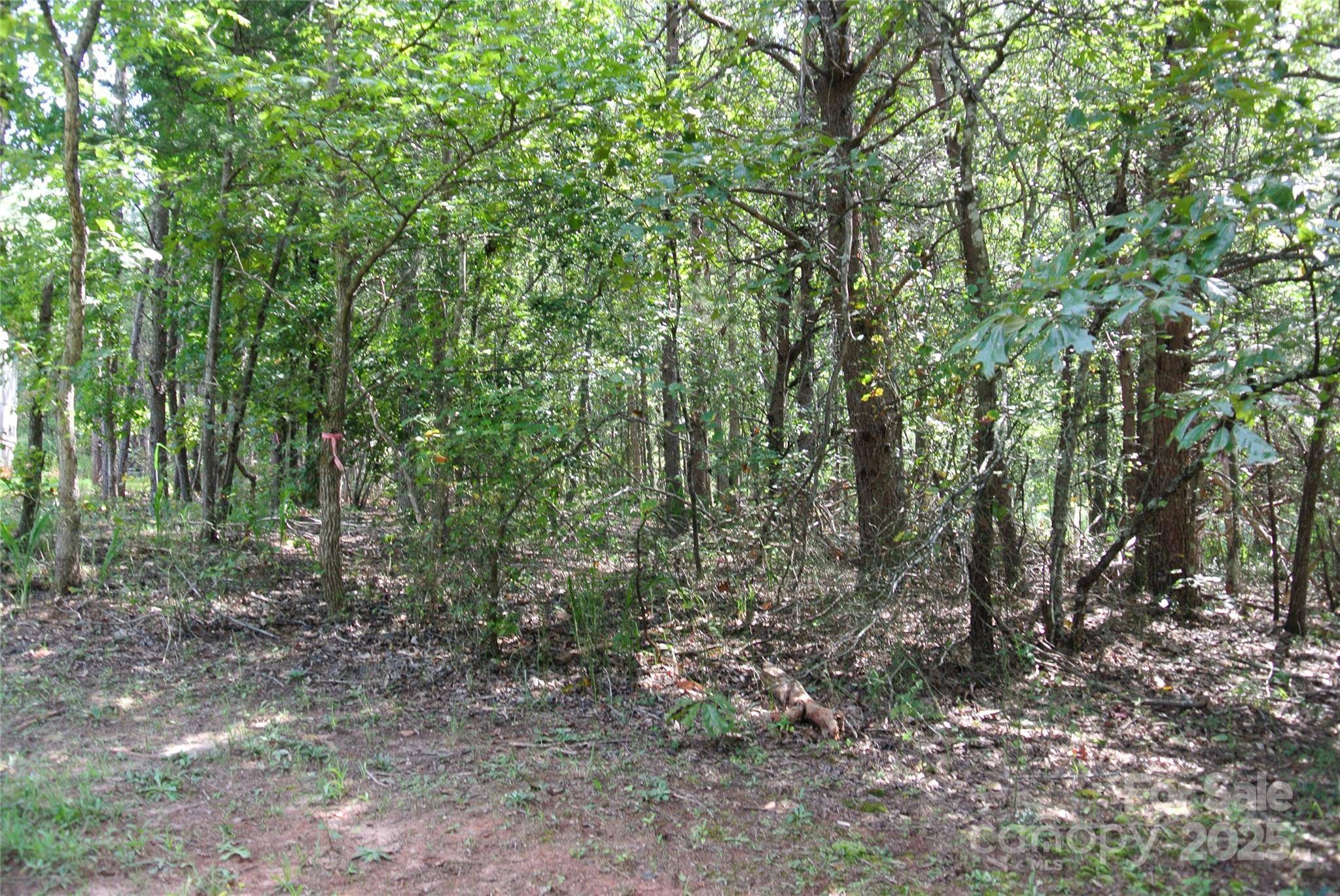 Lot 32 Whispering Pines CIR, Forest City, NC 28043