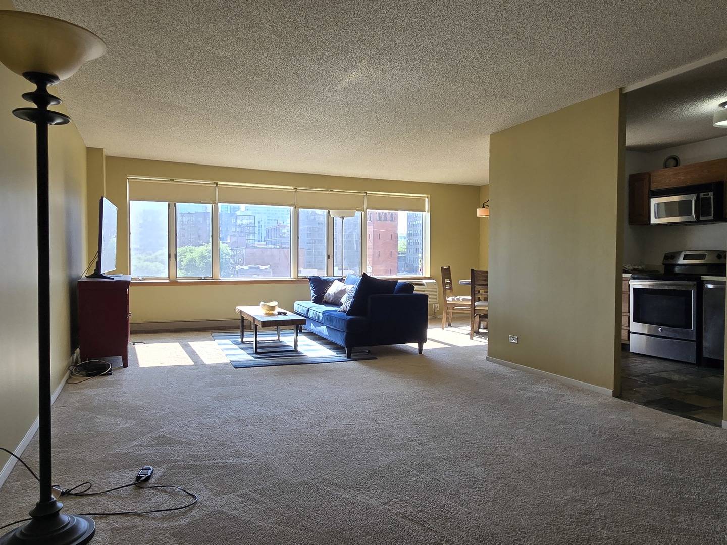 801 S PLYMOUTH CT #604, Chicago, IL 60605