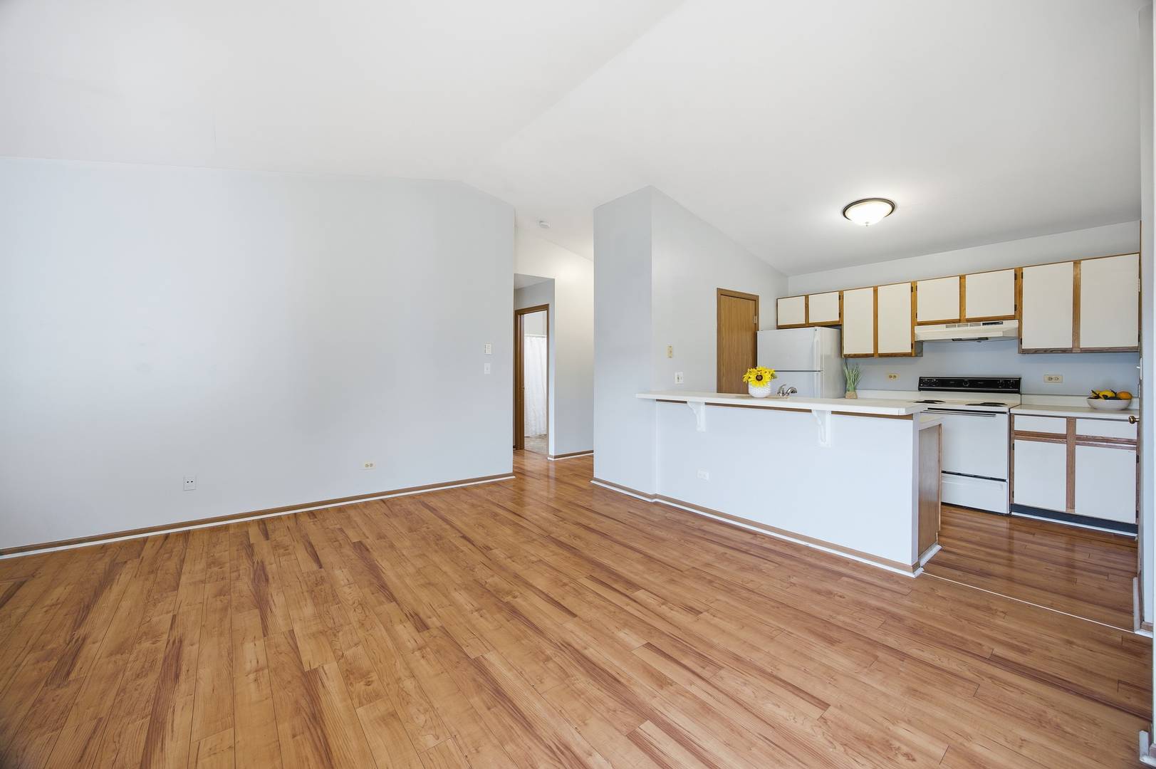 4404 W Shamrock LN #3B, Mchenry, IL 60050
