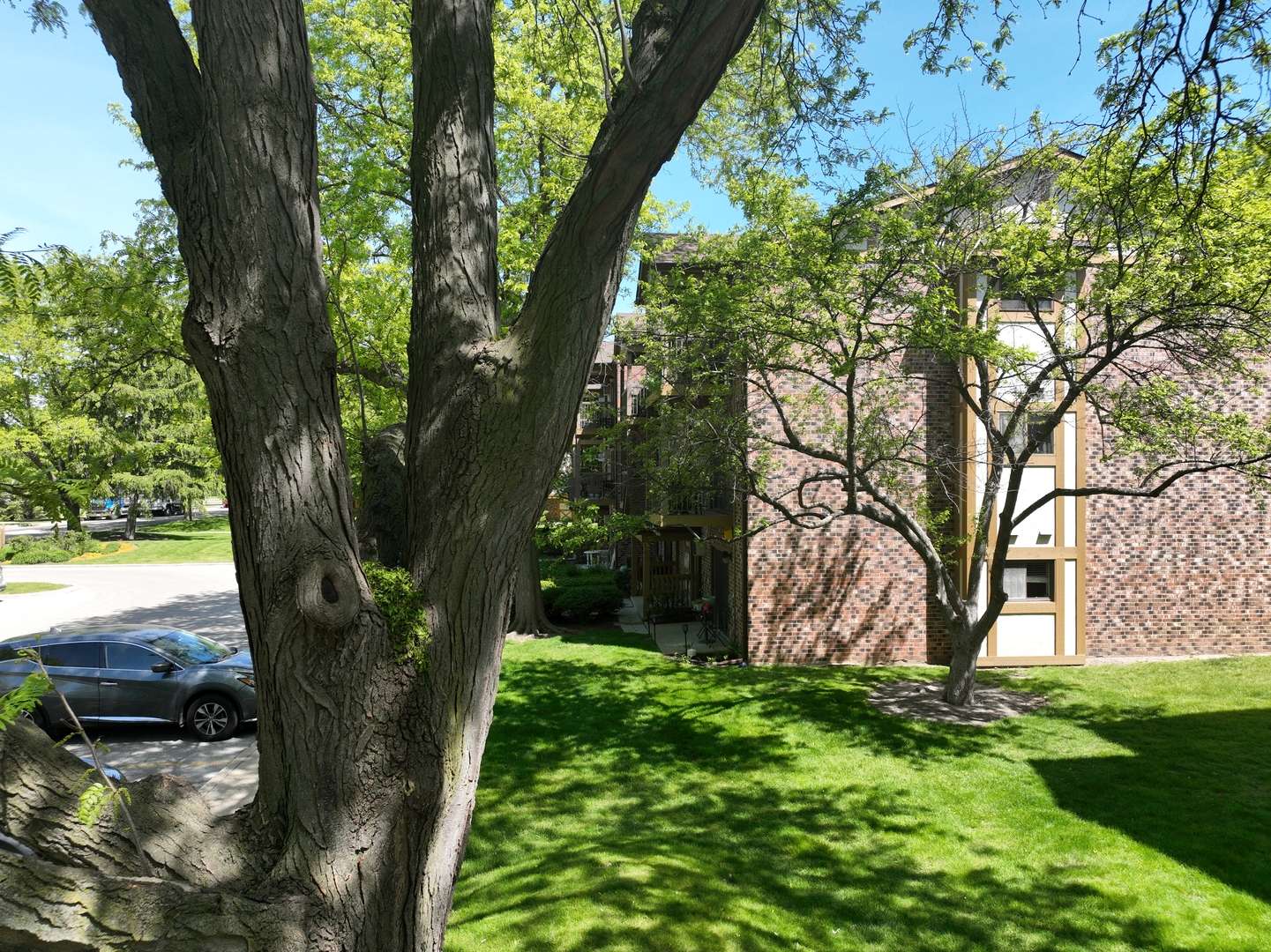 811 S Dwyer AVE #E, Arlington Heights, IL 60005