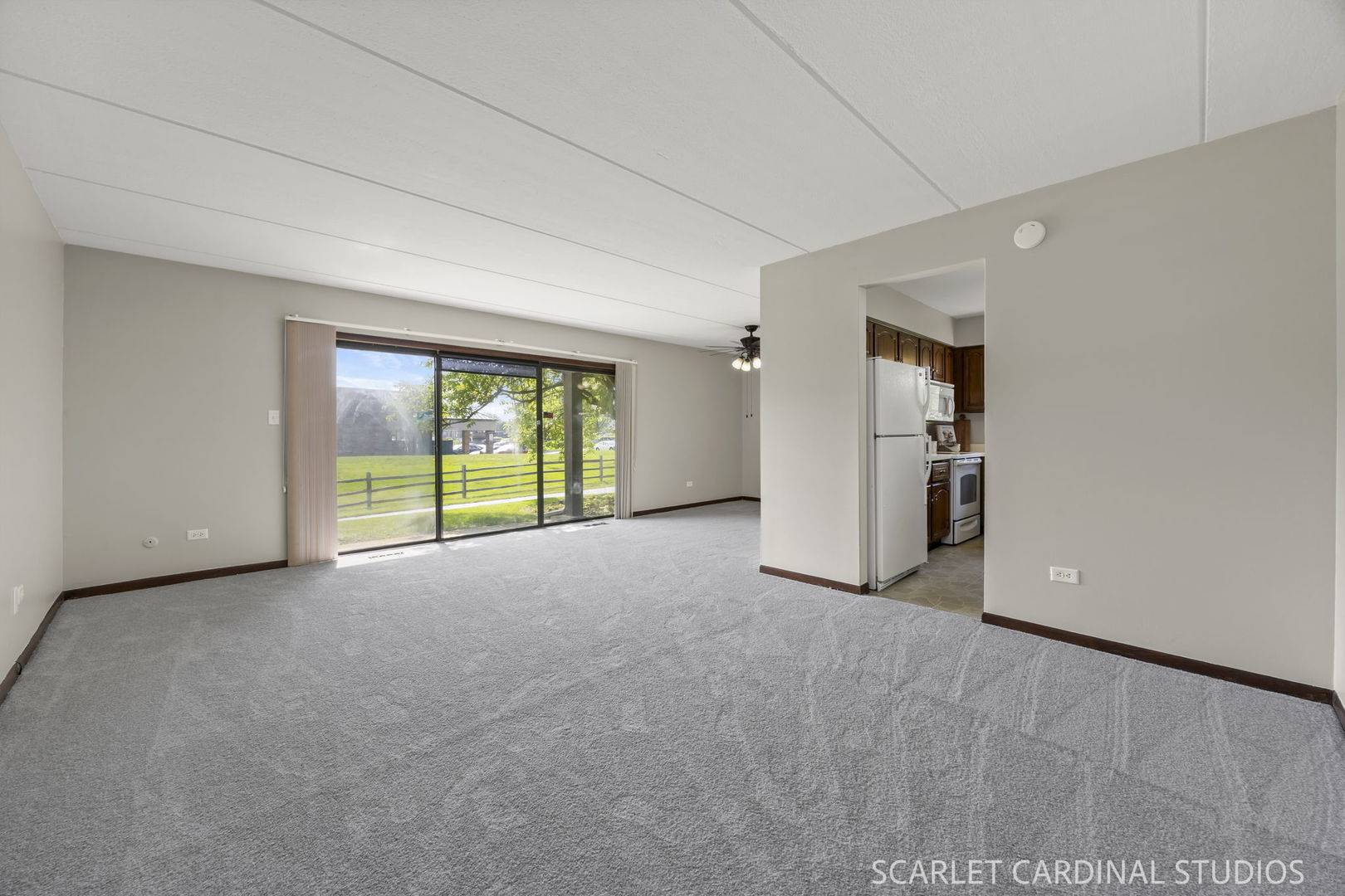 6223 Lake Park LN #B, Willowbrook, IL 60527