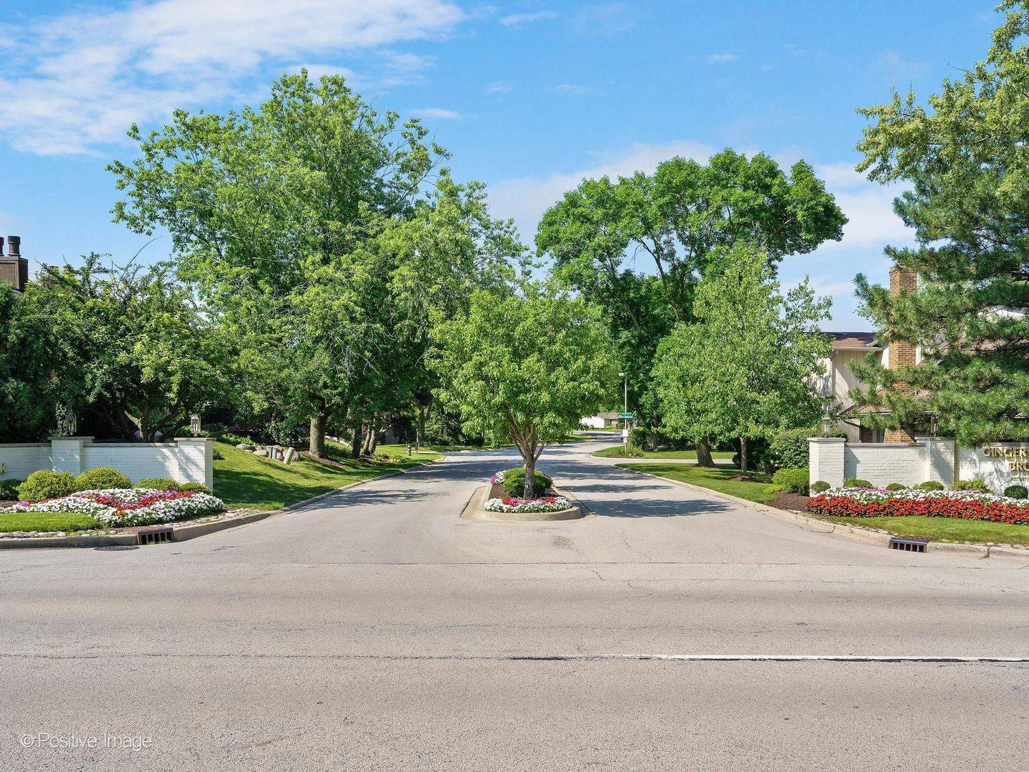 19W182 Ginny LN E #182, Oak Brook, IL 60523