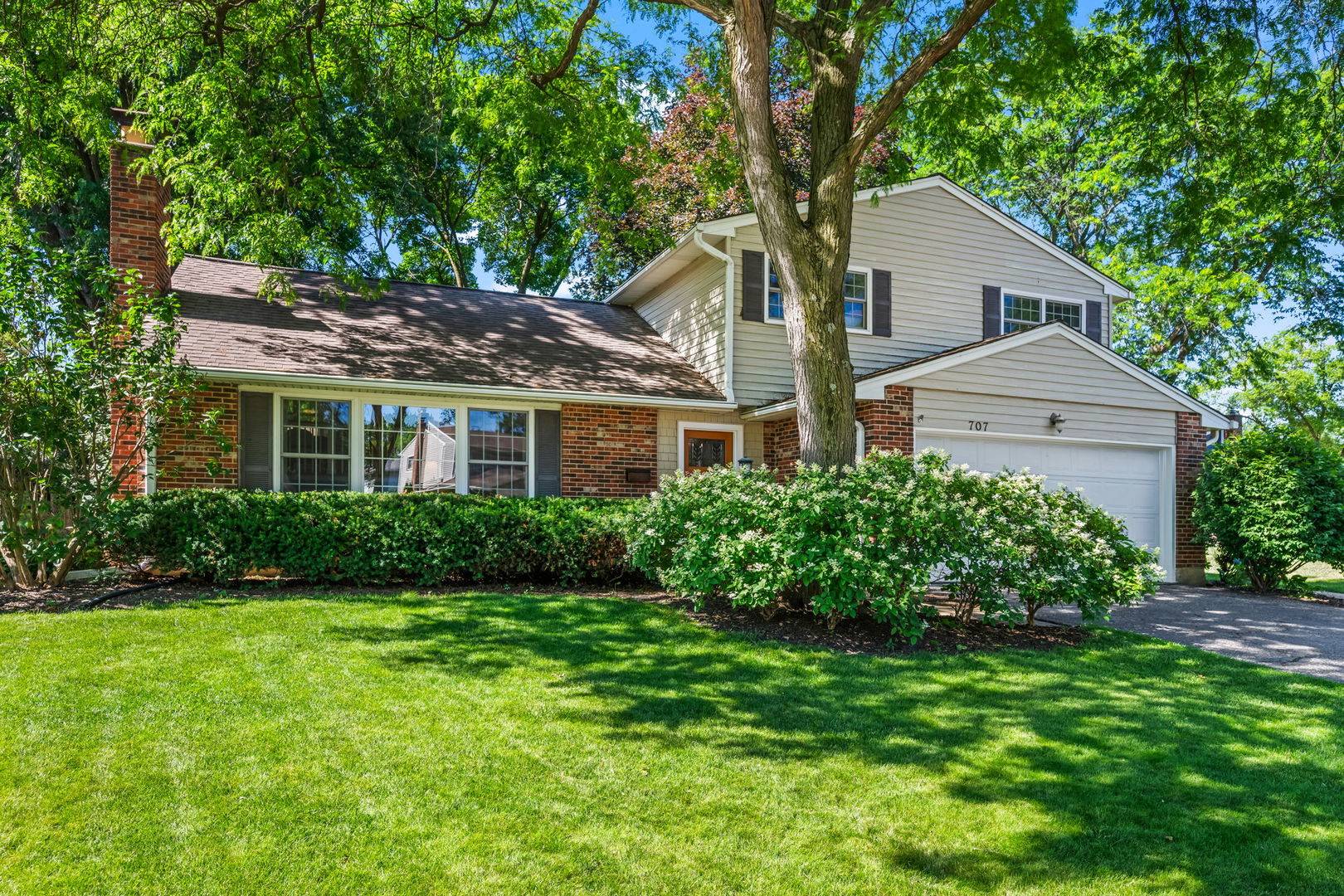 707 W Noyes ST, Arlington Heights, IL 60005