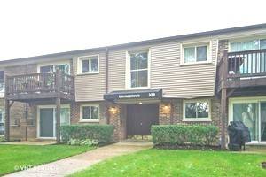 330 N Carter ST #203, Palatine, IL 60067