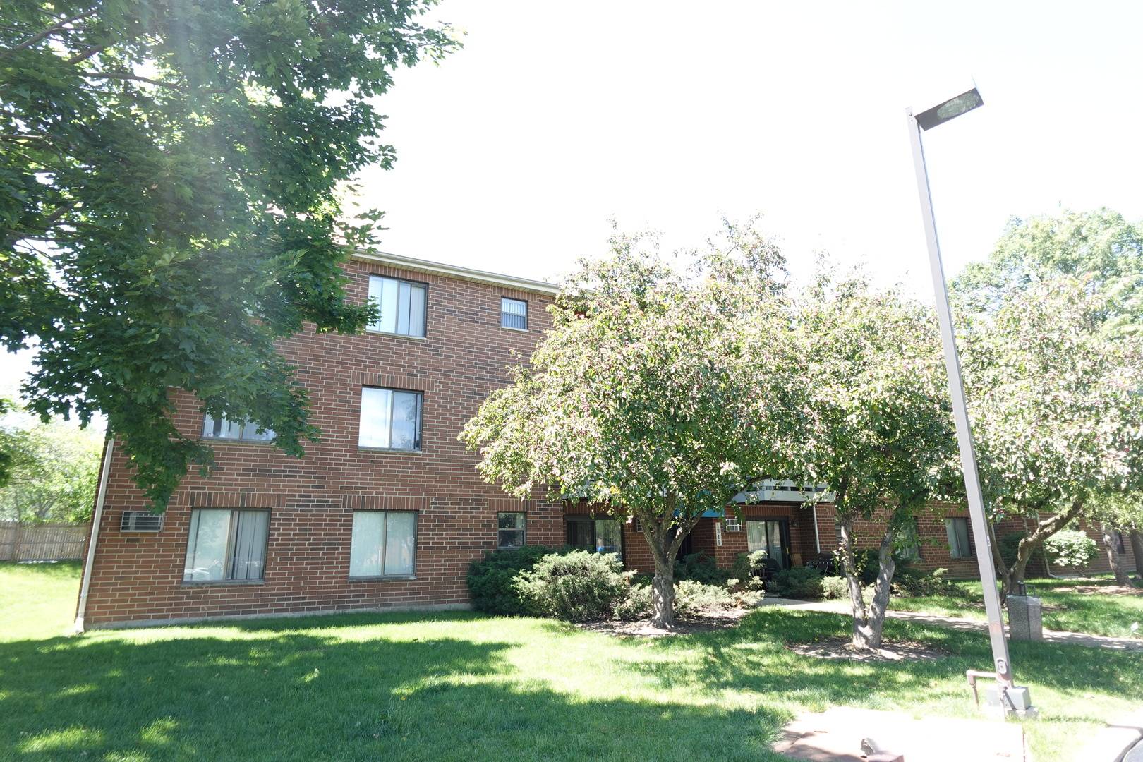 1303 N Winslowe DR #203, Palatine, IL 60074