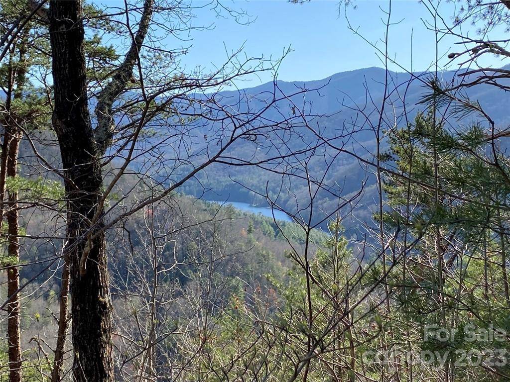 14 Blue Vista RD #14, Canton, NC 28716