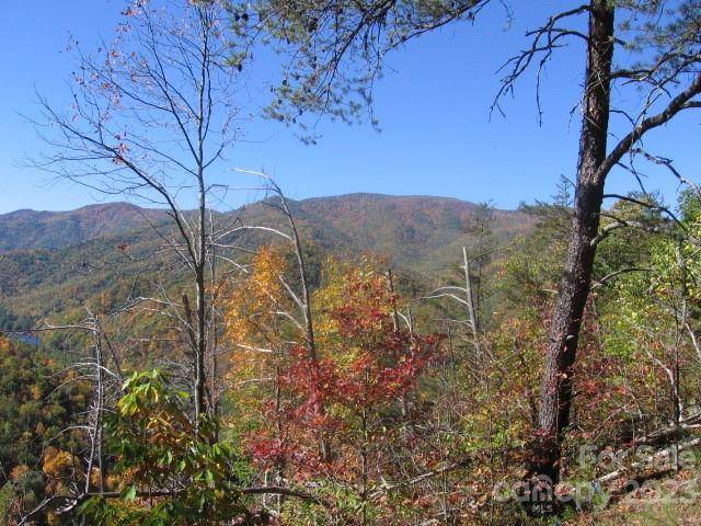 14 Blue Vista RD #14, Canton, NC 28716