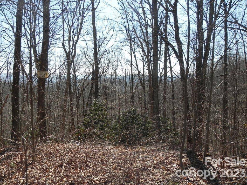 9999 DJ DR #323, Fairview, NC 28730