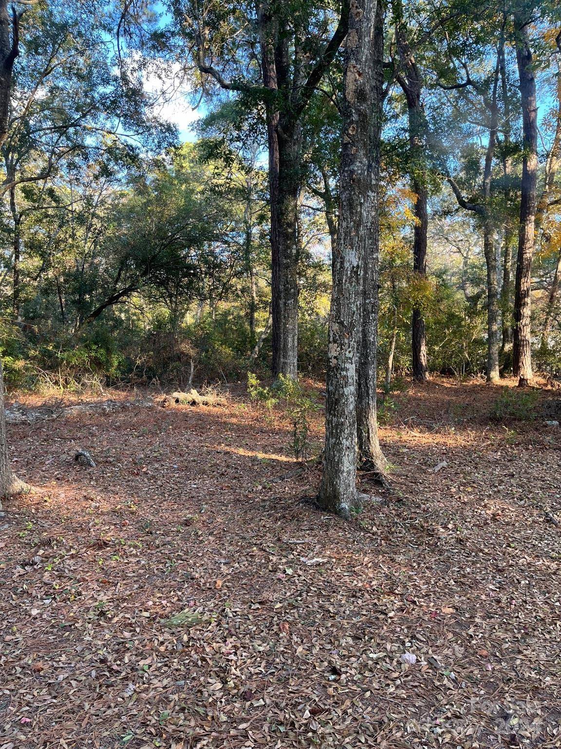 9170 HERITAGE DR SW #86, Calabash, NC 28467