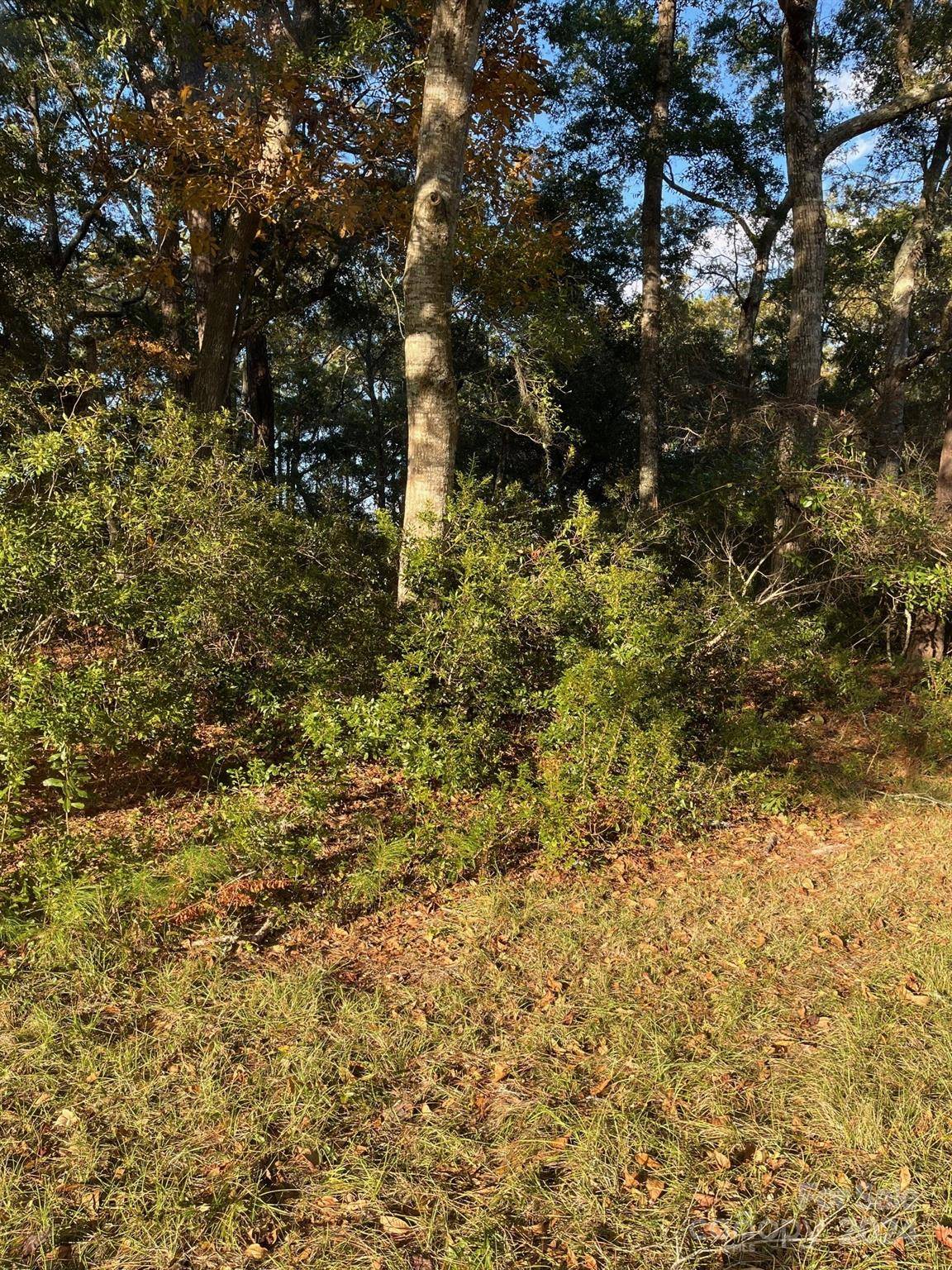 9170 HERITAGE DR SW #86, Calabash, NC 28467