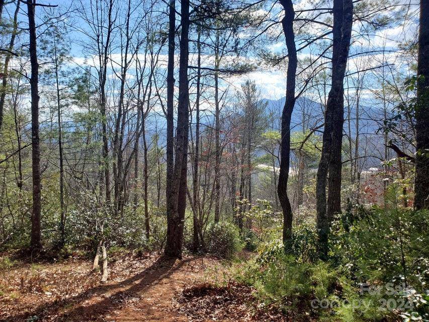 TBD Elkins RD #21, Bakersville, NC 28705