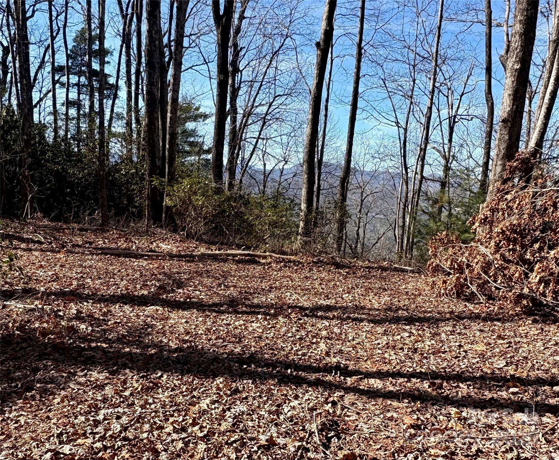 lot #13 Devils Hole RD #13, Rosman, NC 28772