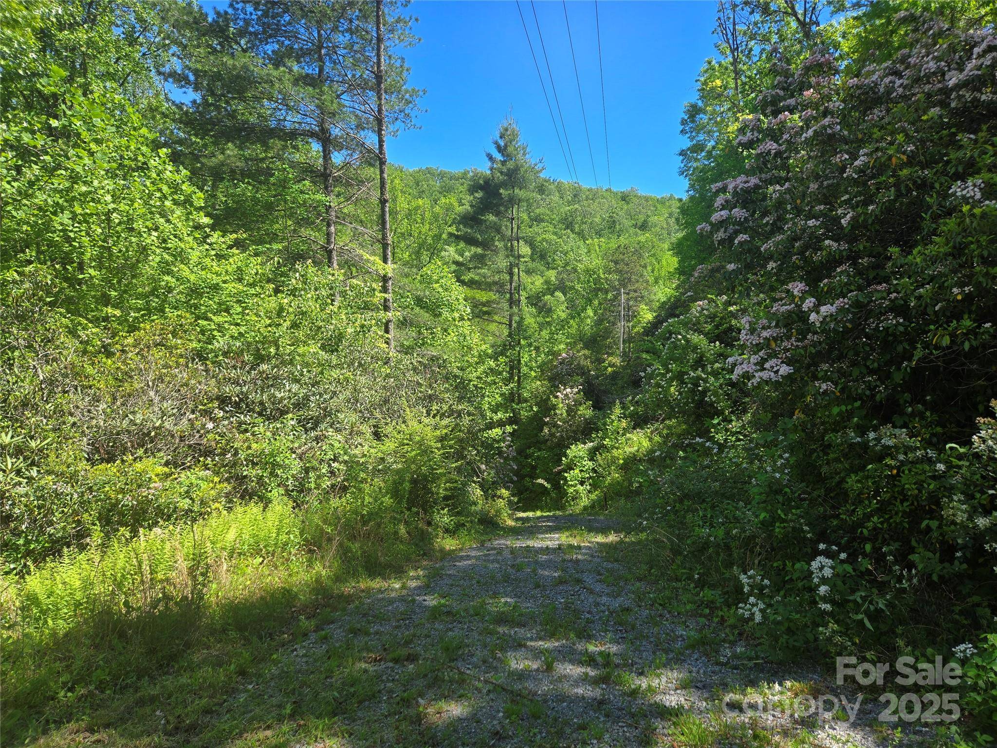 218 South Kimiko LN #Lots 35,36,37, Balsam Grove, NC 28708
