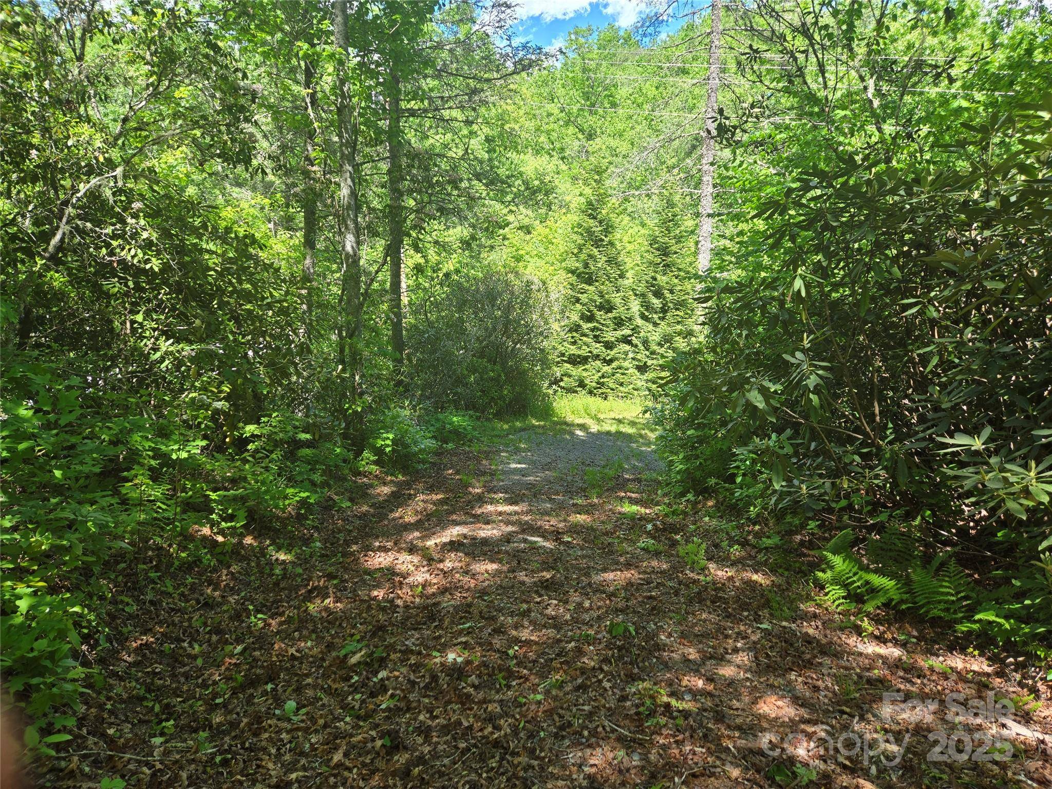218 South Kimiko LN #Lots 35,36,37, Balsam Grove, NC 28708