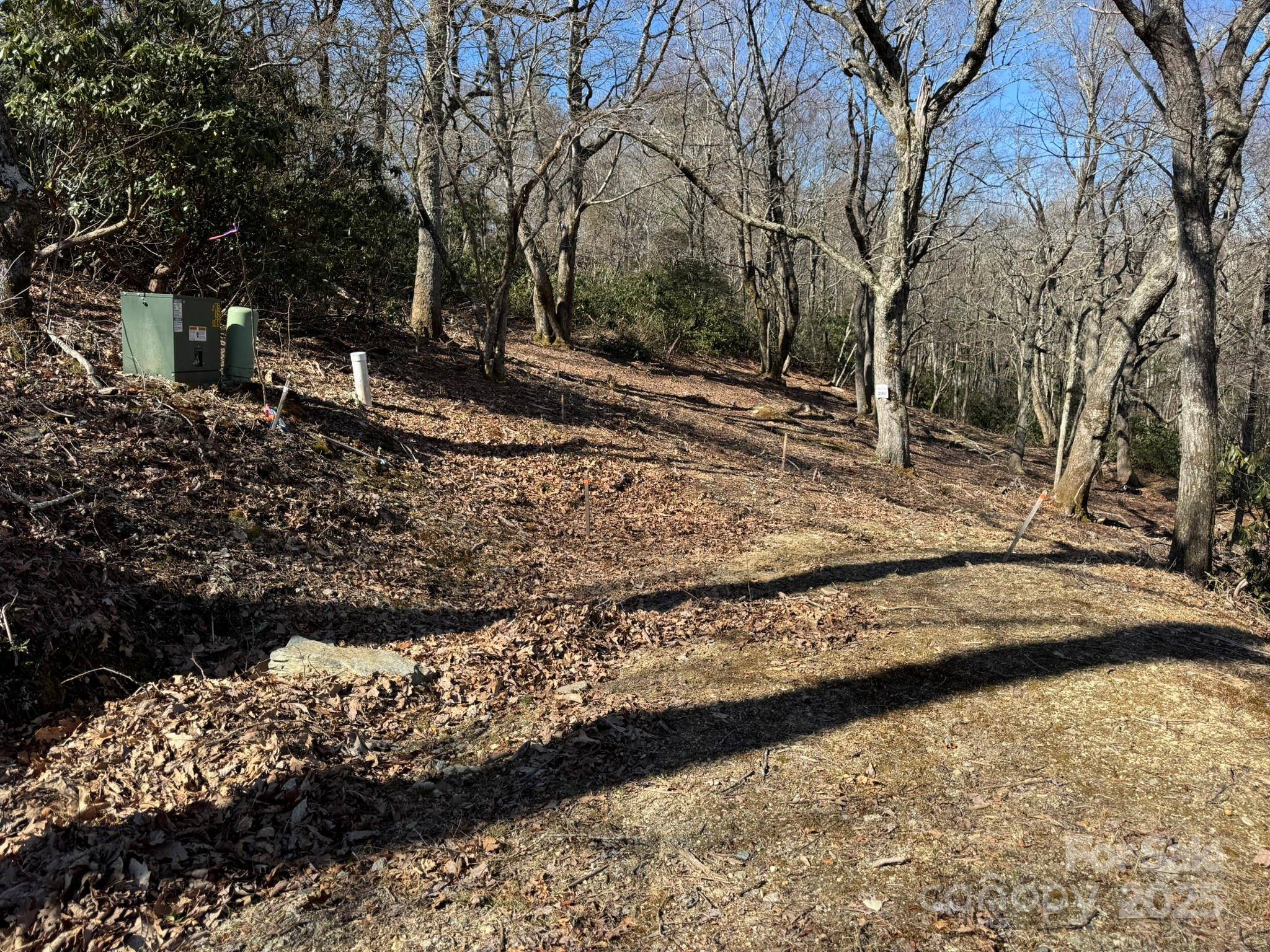 Lot 240 Thunder Wood TRL #240, Blowing Rock, NC 28605