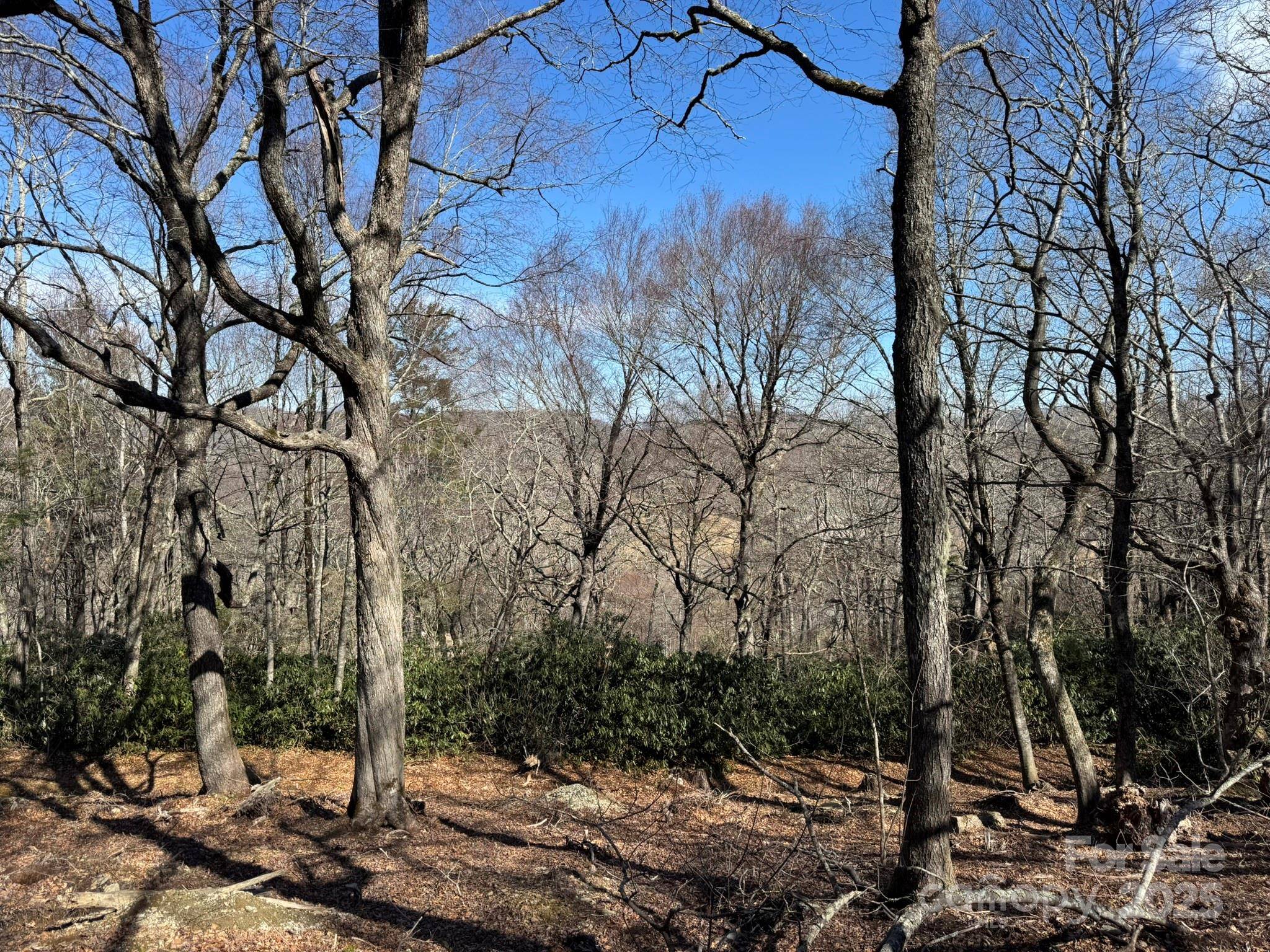 Lot 240 Thunder Wood TRL #240, Blowing Rock, NC 28605