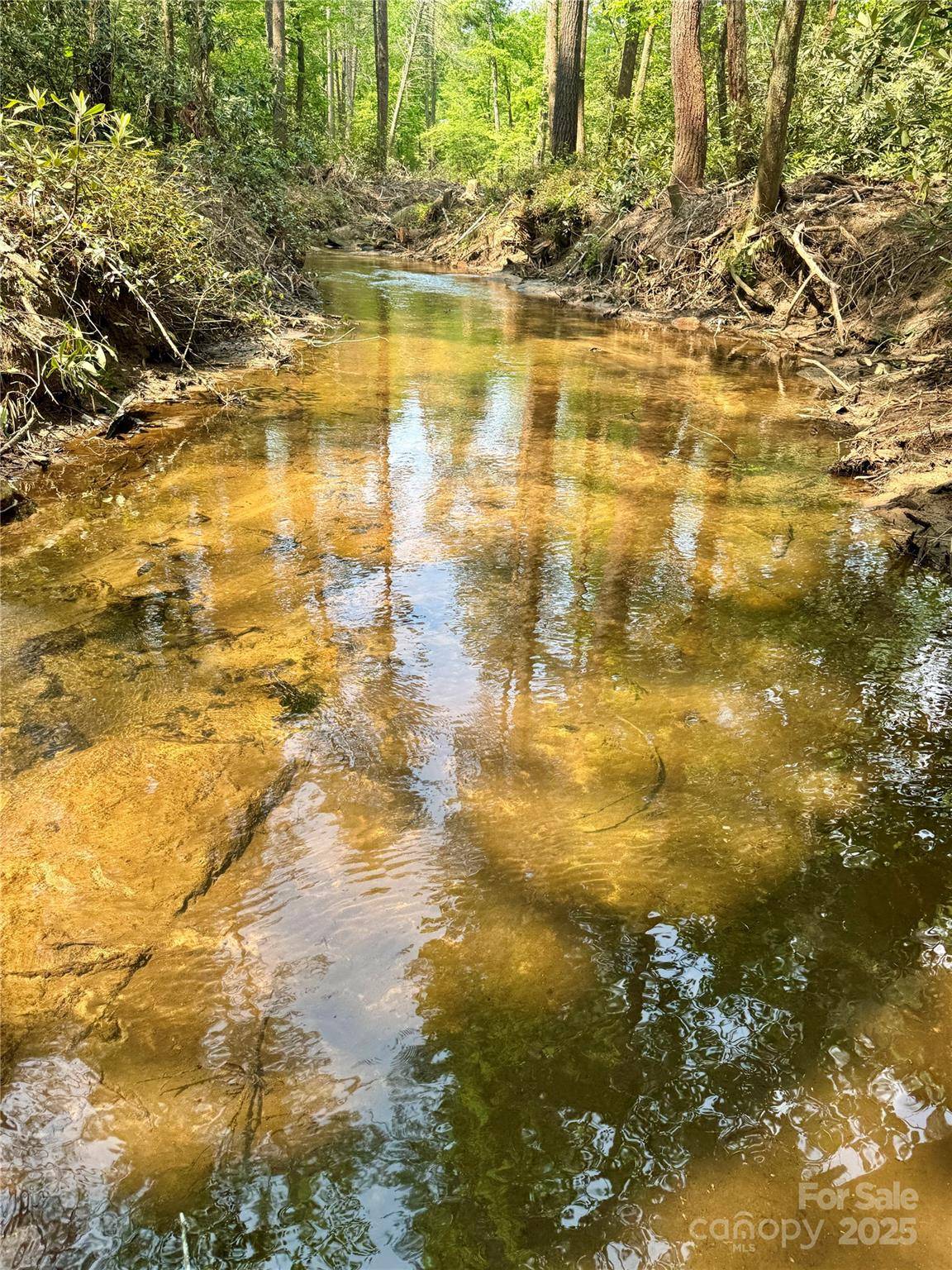 45 Stones Lake RD, Cedar Mountain, NC 28718