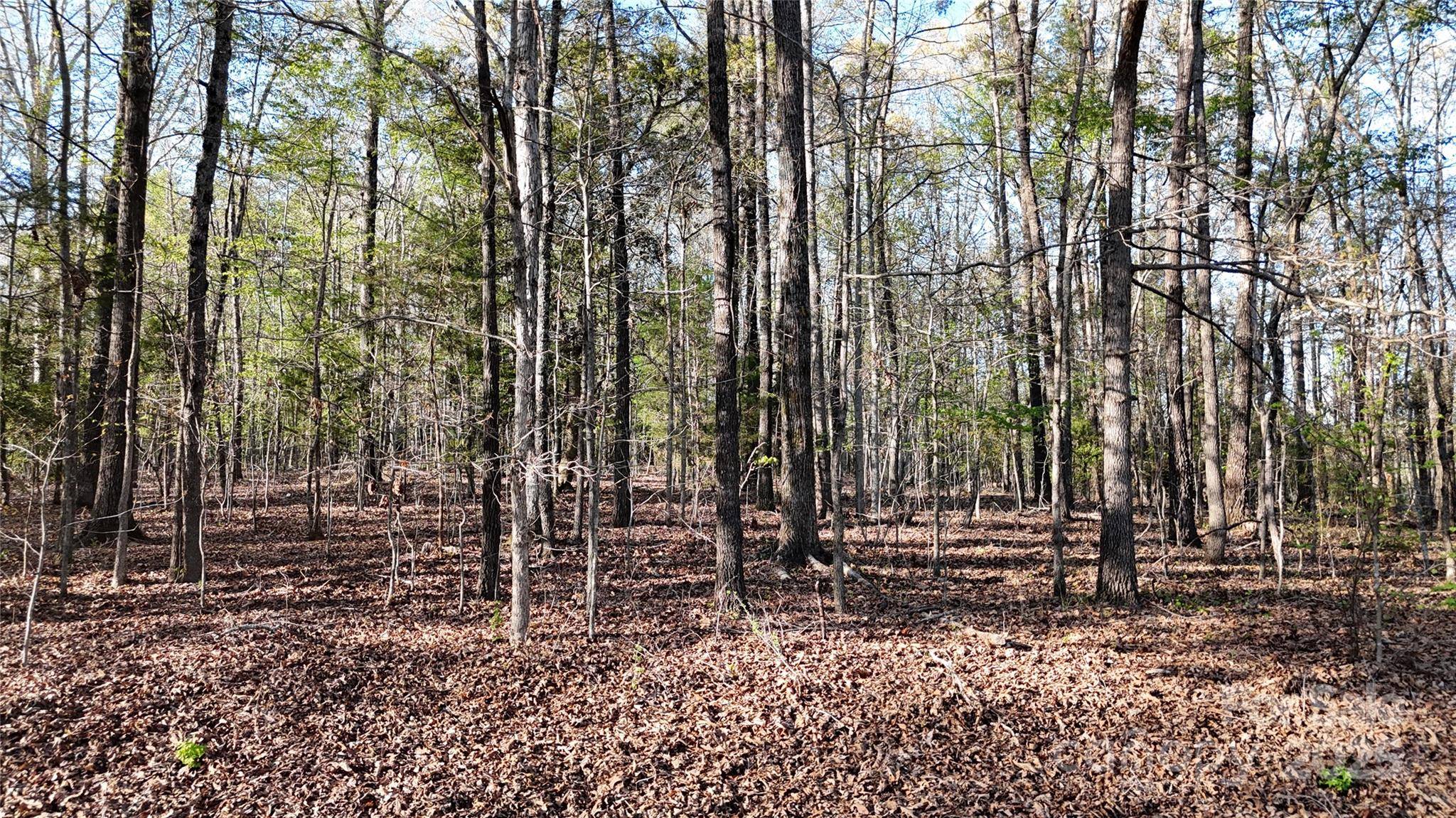00 Richardson Creek LN, Forest City, NC 28043