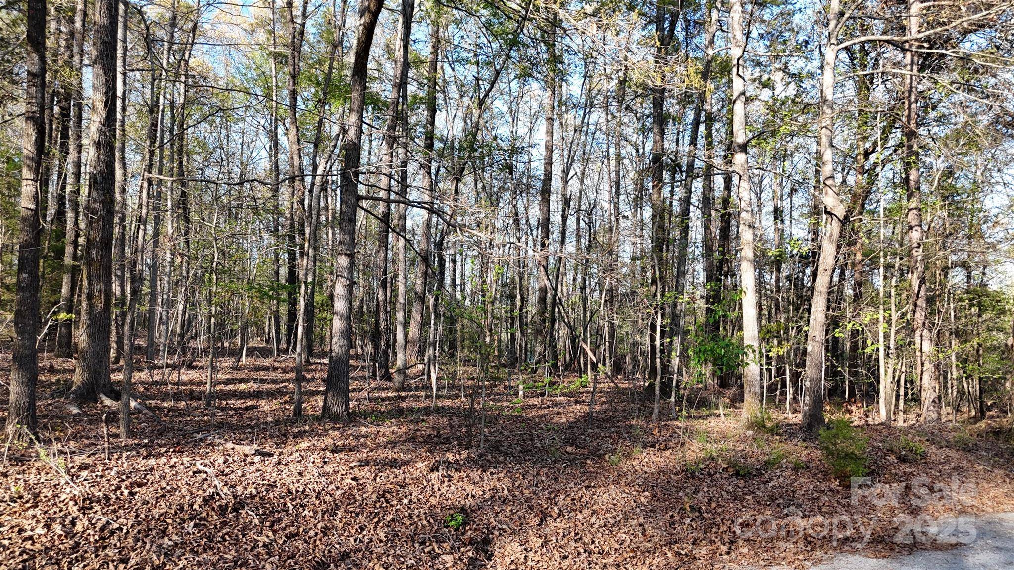 00 Richardson Creek LN, Forest City, NC 28043