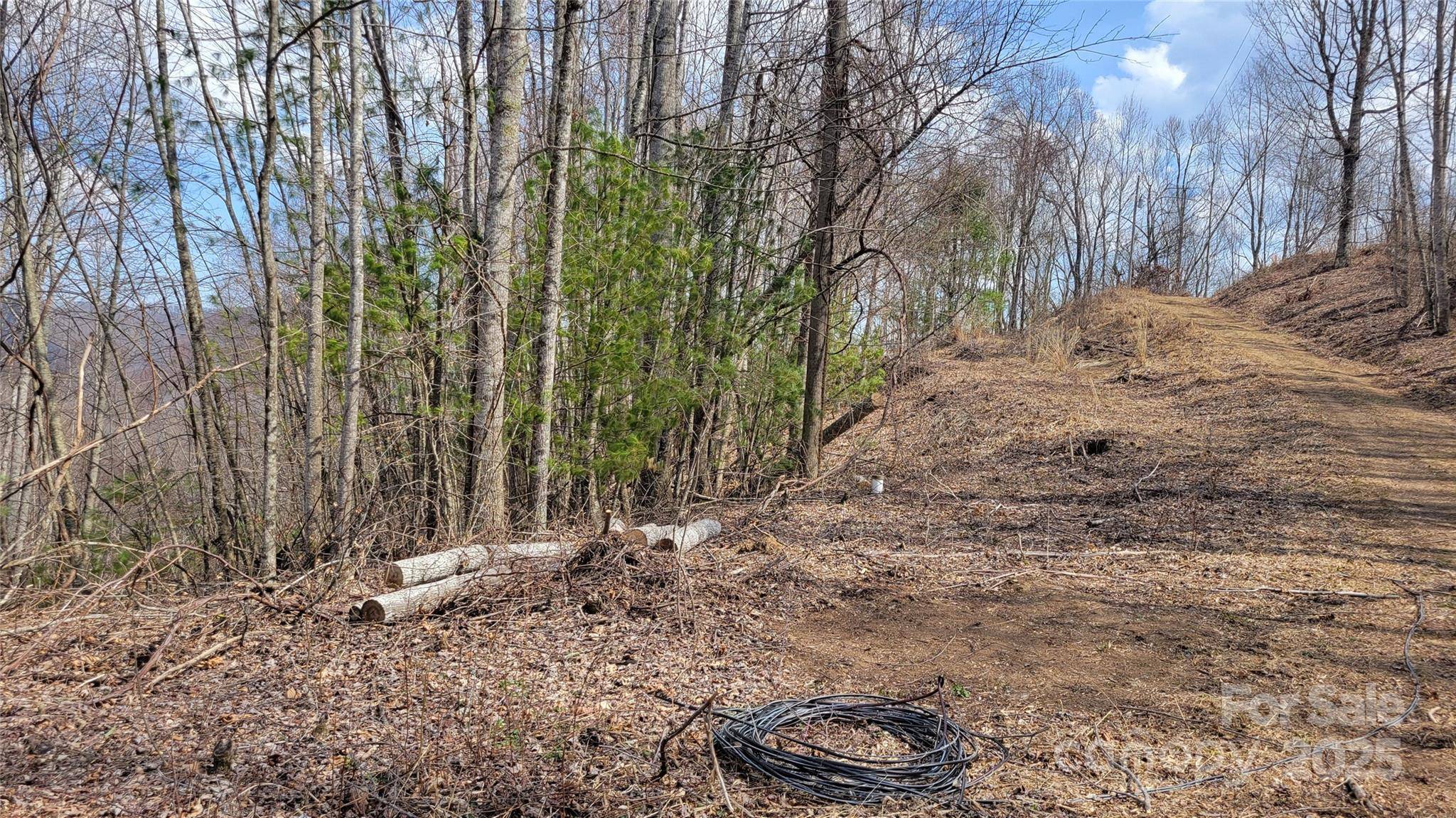 000 Joslin LN, Burnsville, NC 28714